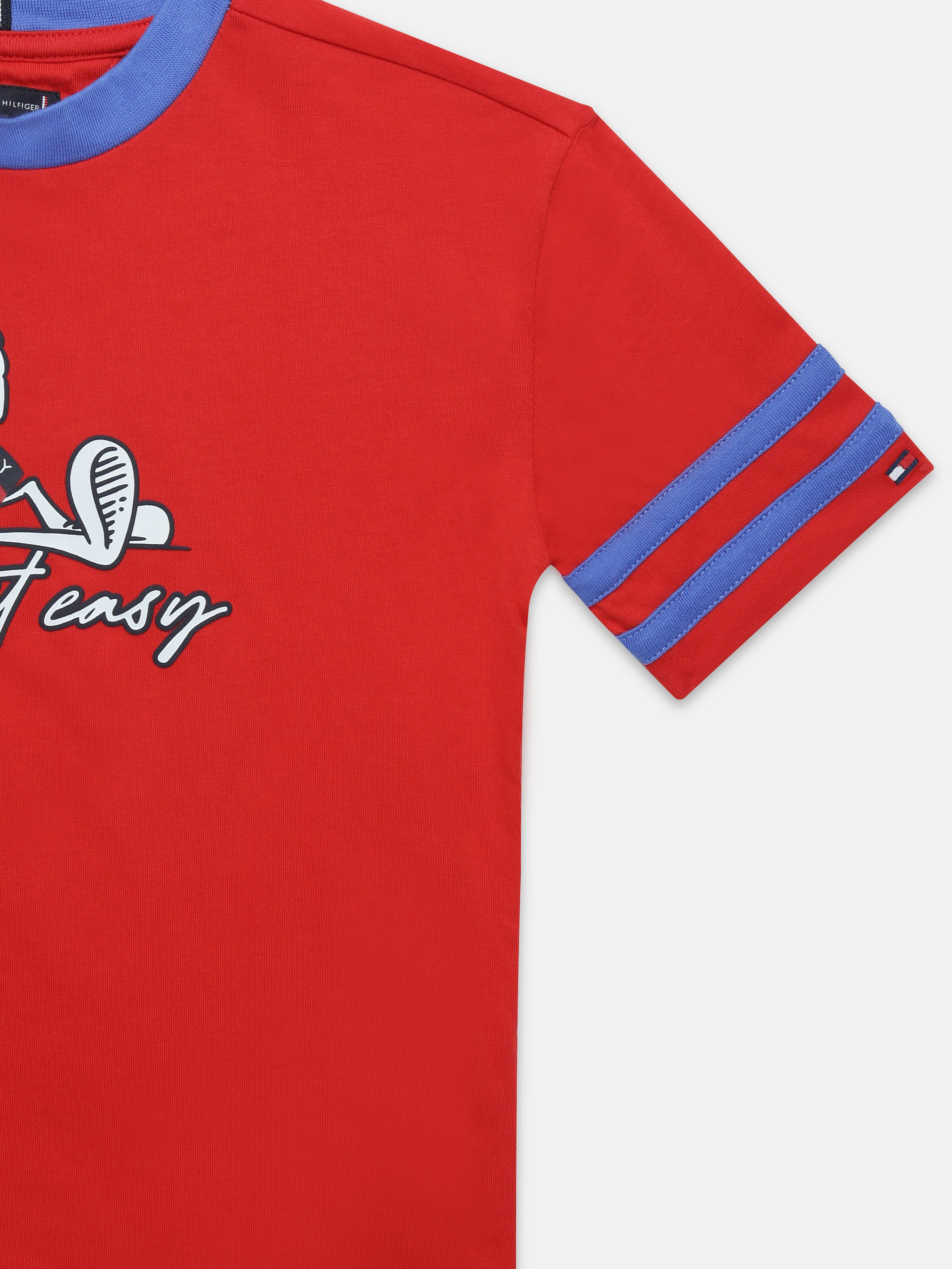 Boys Red Graphic Cotton Crew Neck Knit Top Regular Fit