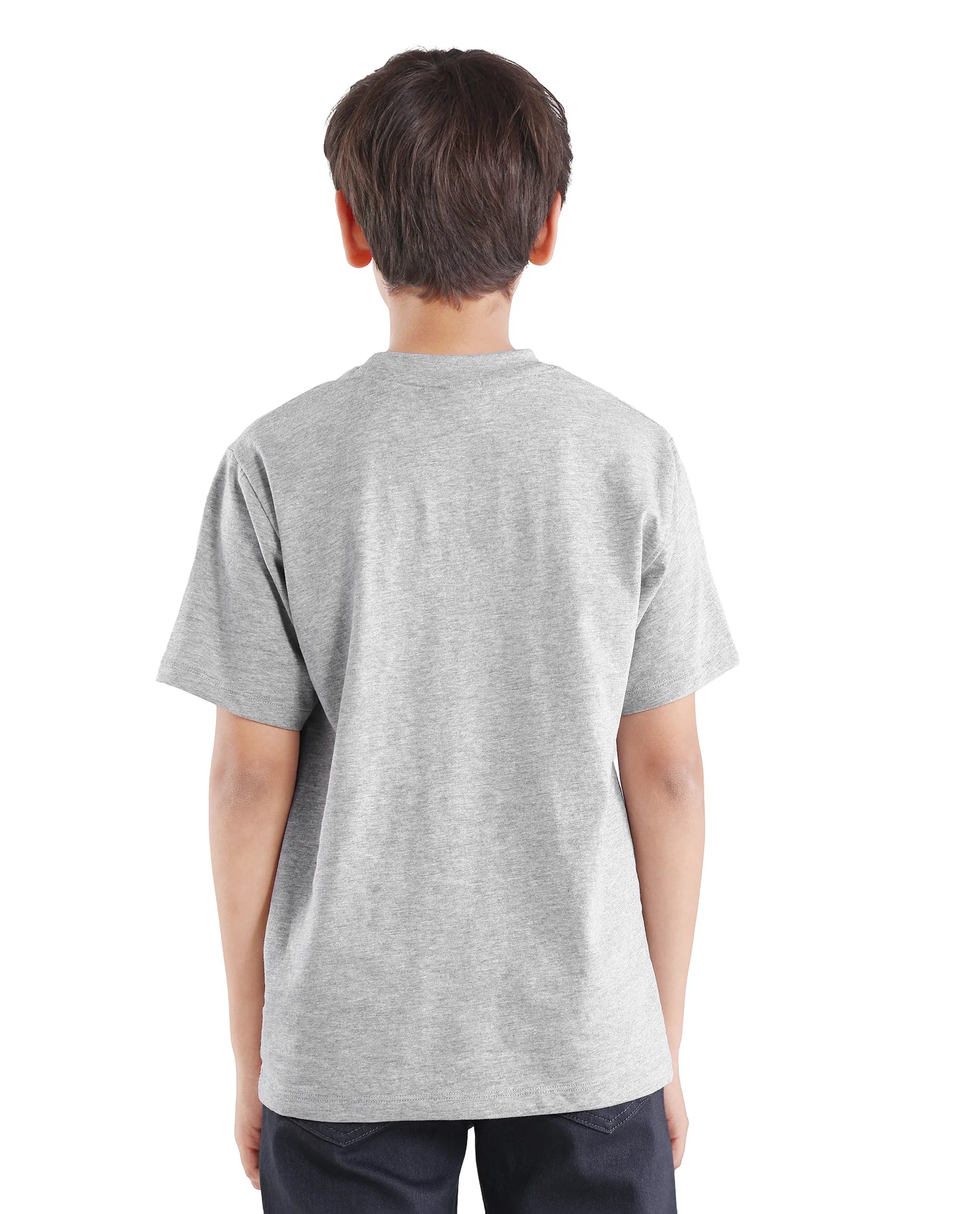 Boys Melange Grey Digital Print Regular Fit T-Shirt