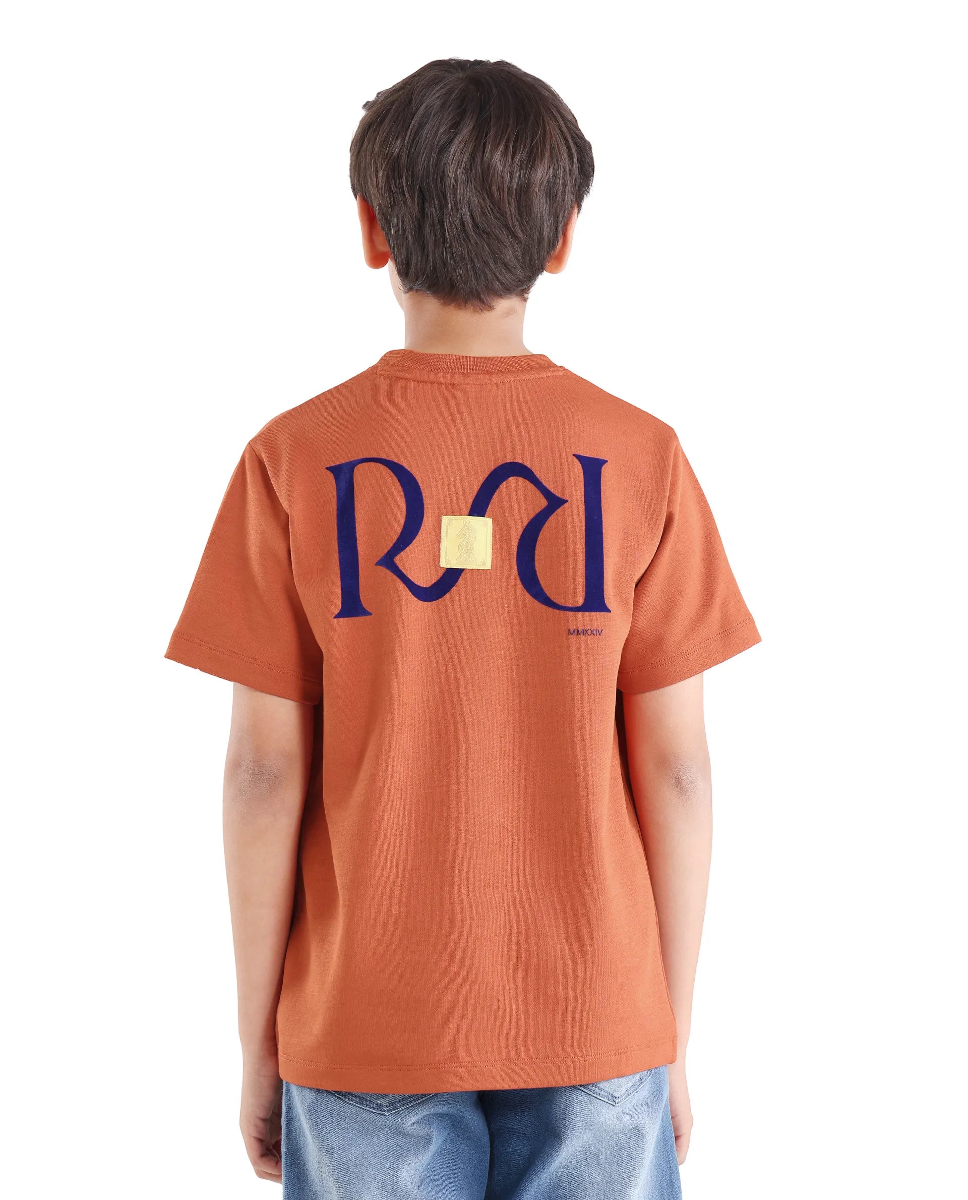 Boys Rust Flock Regular Fit Cotton Blend T-Shirt