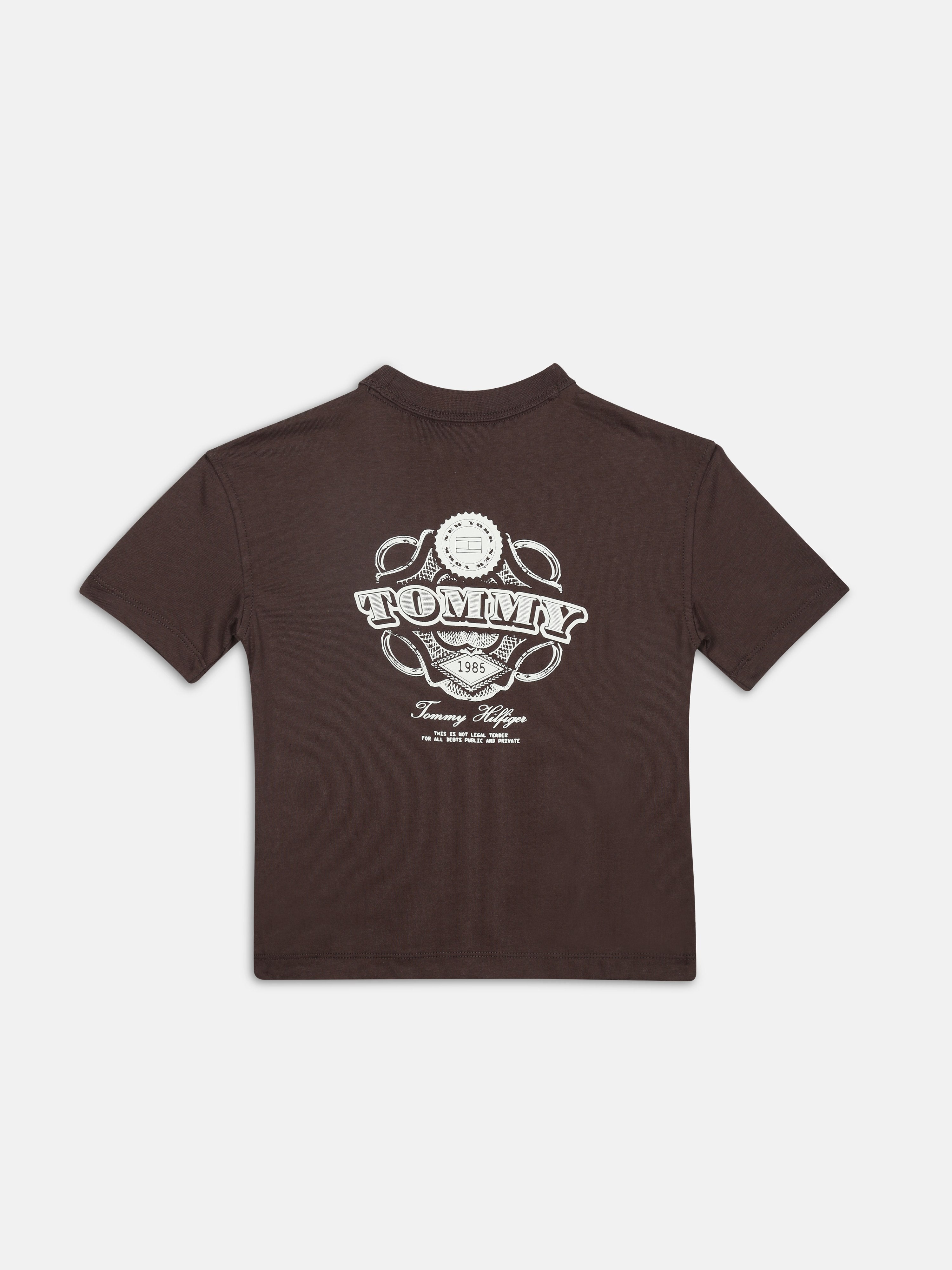 Boys Brown Graphic Cotton T-Shirt
