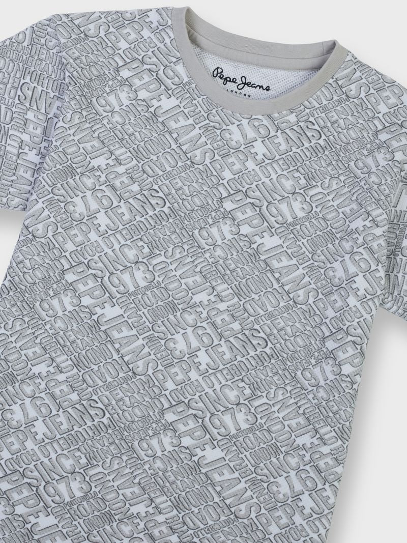 Boys Cem Grey Letter Print Regular Fit T-Shirt