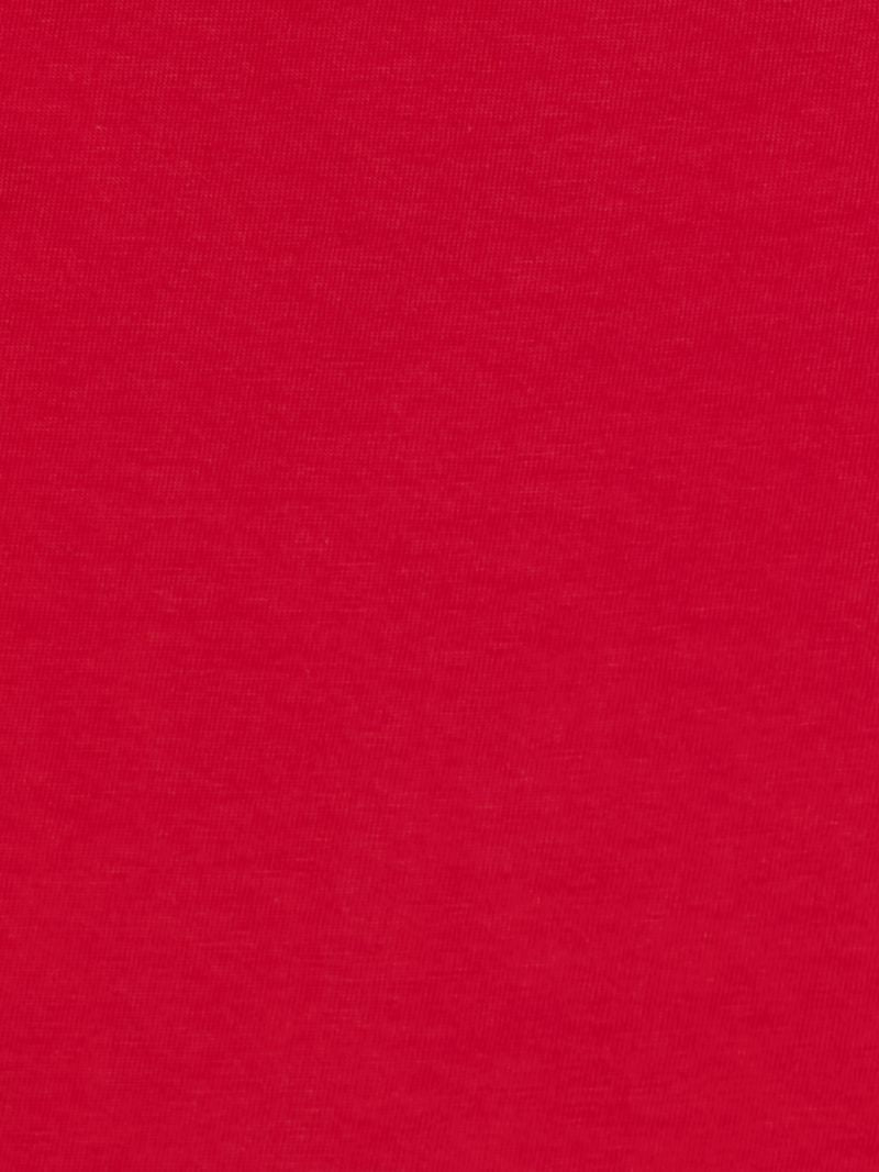 Boys Red Graphic Print Regular Fit T-Shirt Everyday