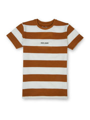Boys Tobacco Striped Regular Fit T-Shirt