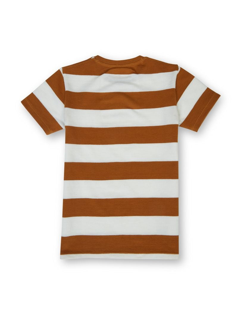 Boys Tobacco Striped Regular Fit T-Shirt