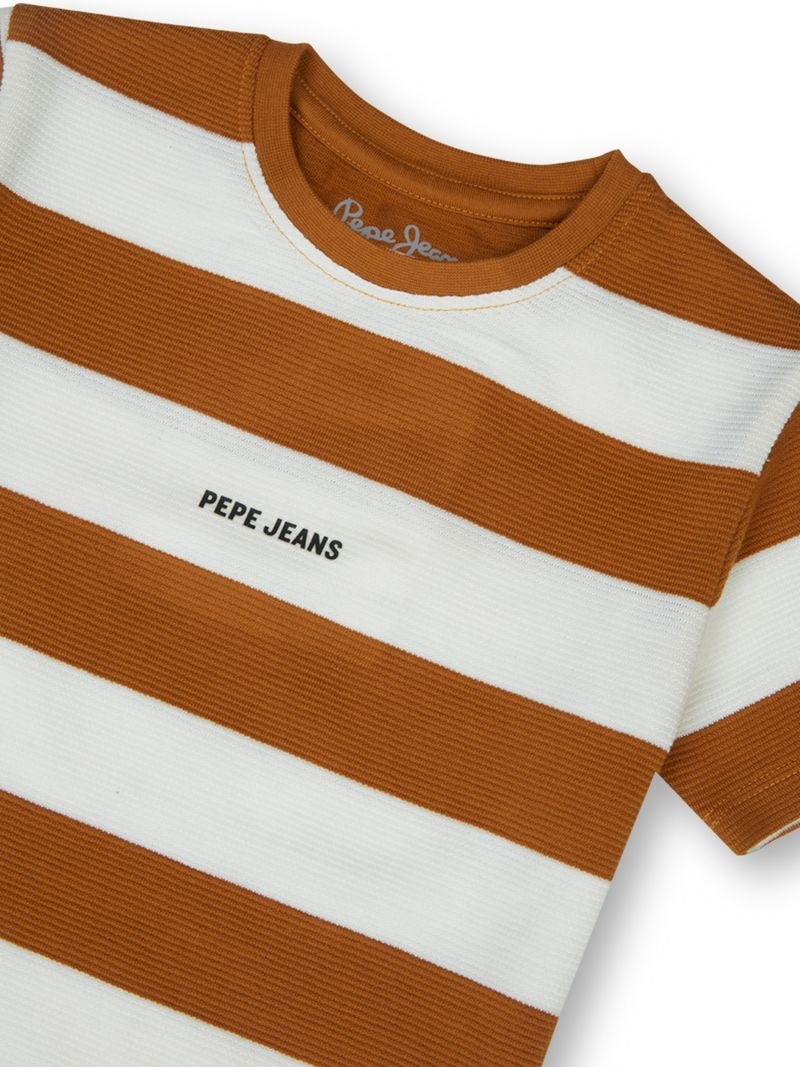Boys Tobacco Striped Regular Fit T-Shirt