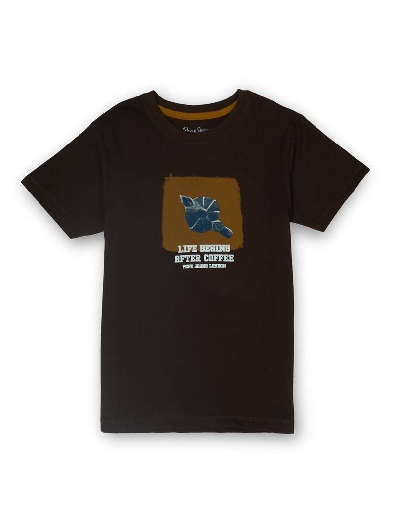 Boys Brown Graphic Print Regular Fit T-Shirt Short Sleeves