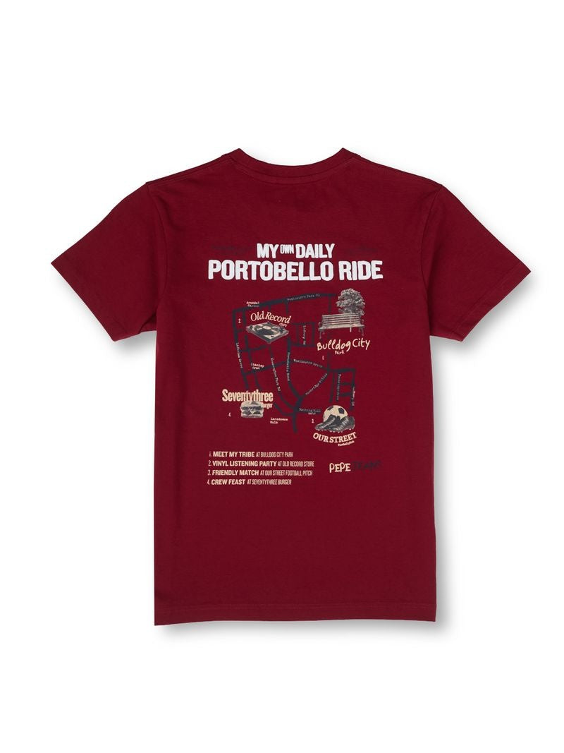 Boys Rugby Red Graphic Print Regular Fit T-Shirt
