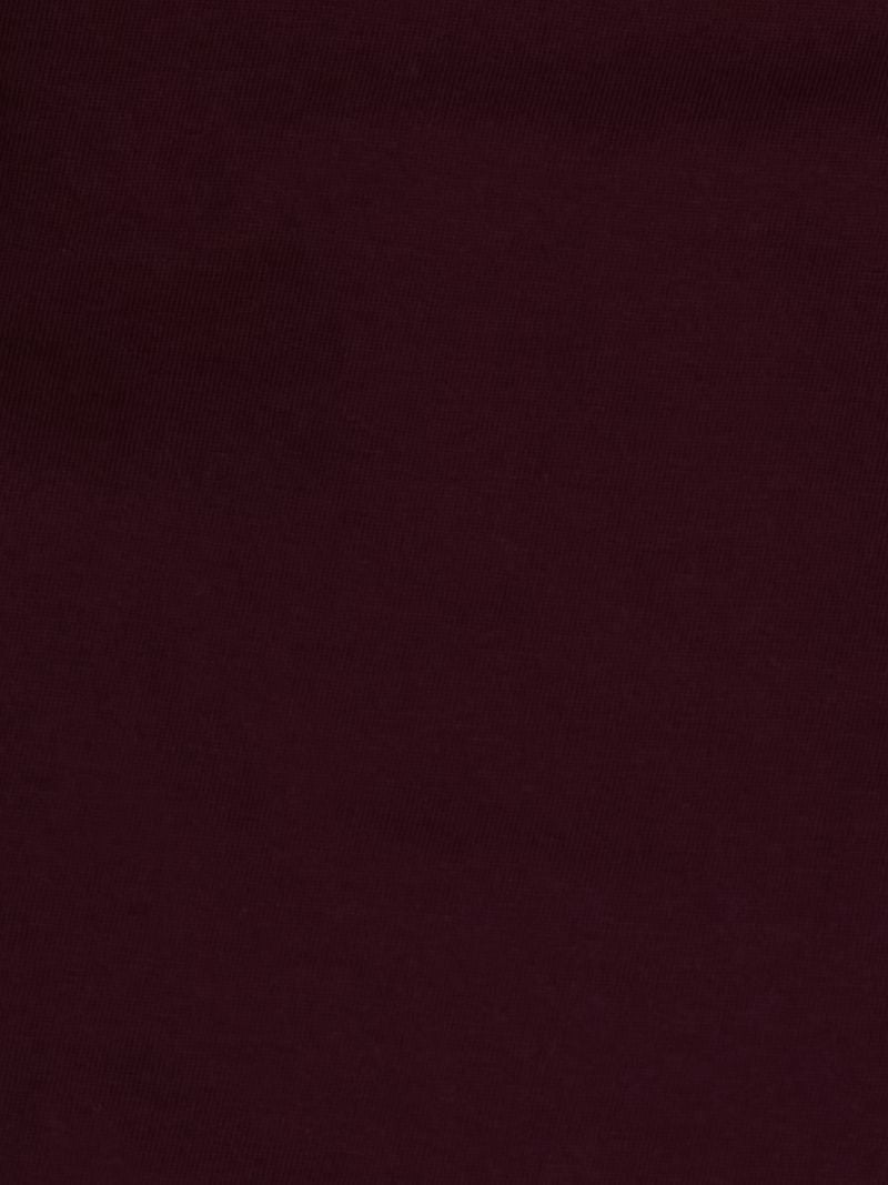 Boys Burgundy Graphic Print Regular Fit T-Shirt