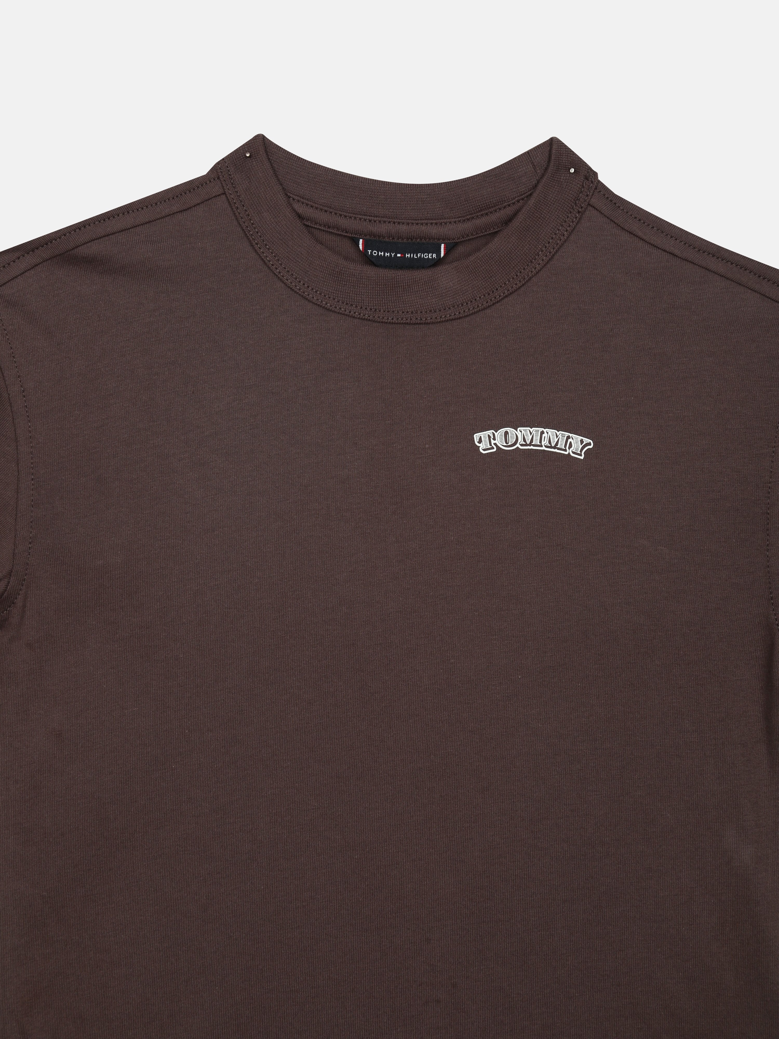 Boys Brown Graphic Cotton T-Shirt