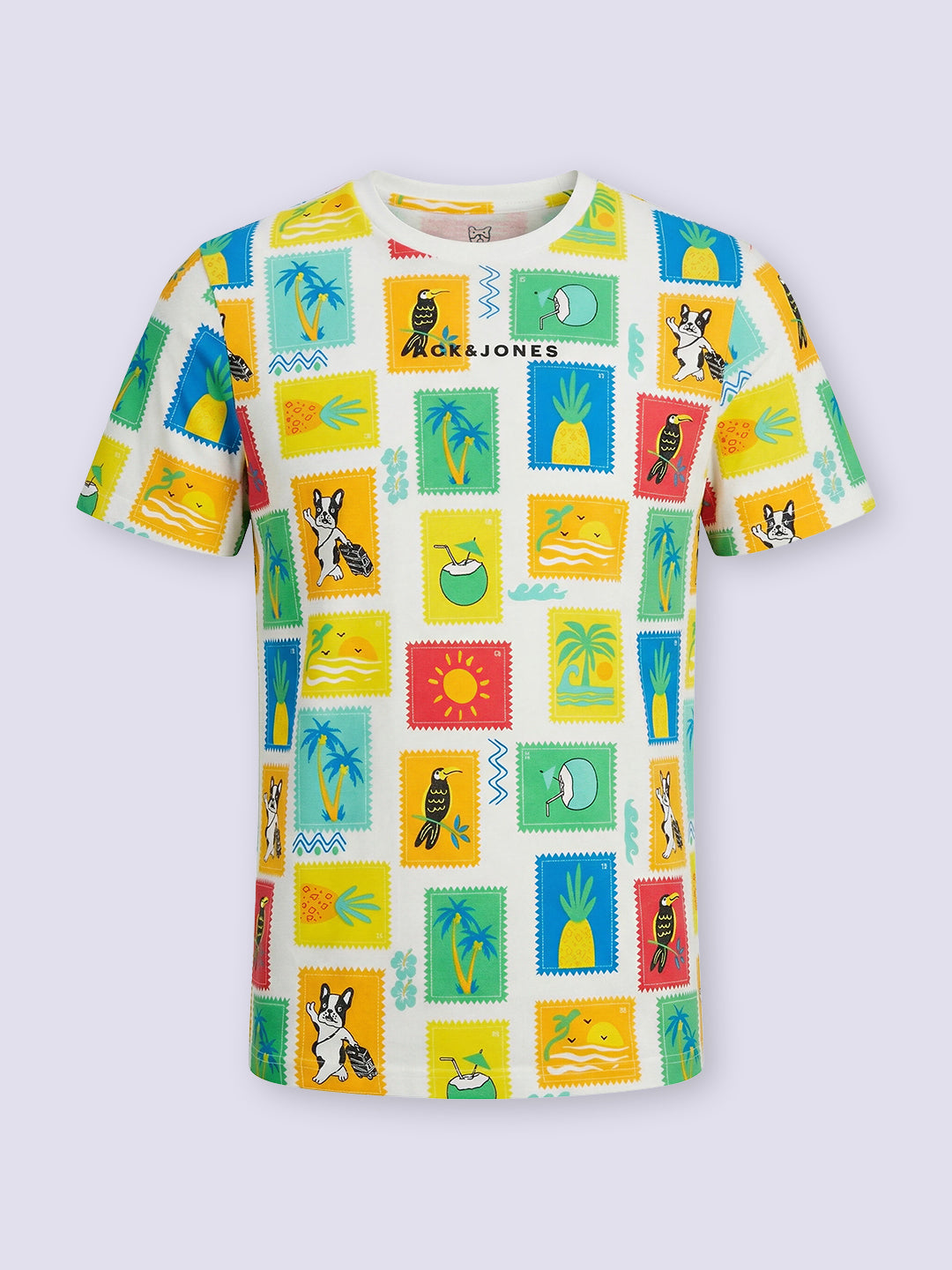 Boys White Multi Colour Printed Cotton T-Shirt