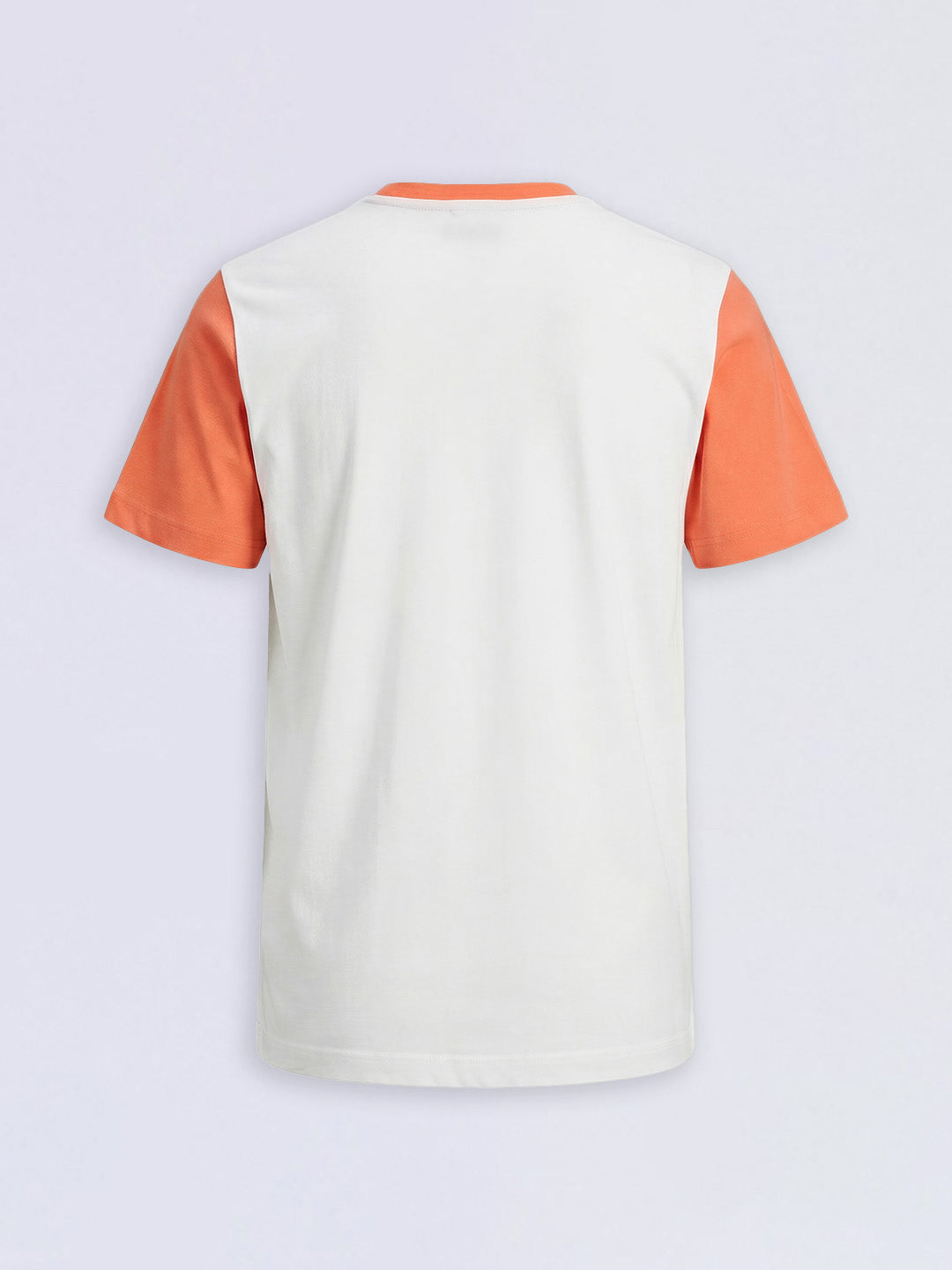 Boys Red Colourblocked Printed Cotton Regular Fit T-Shirt