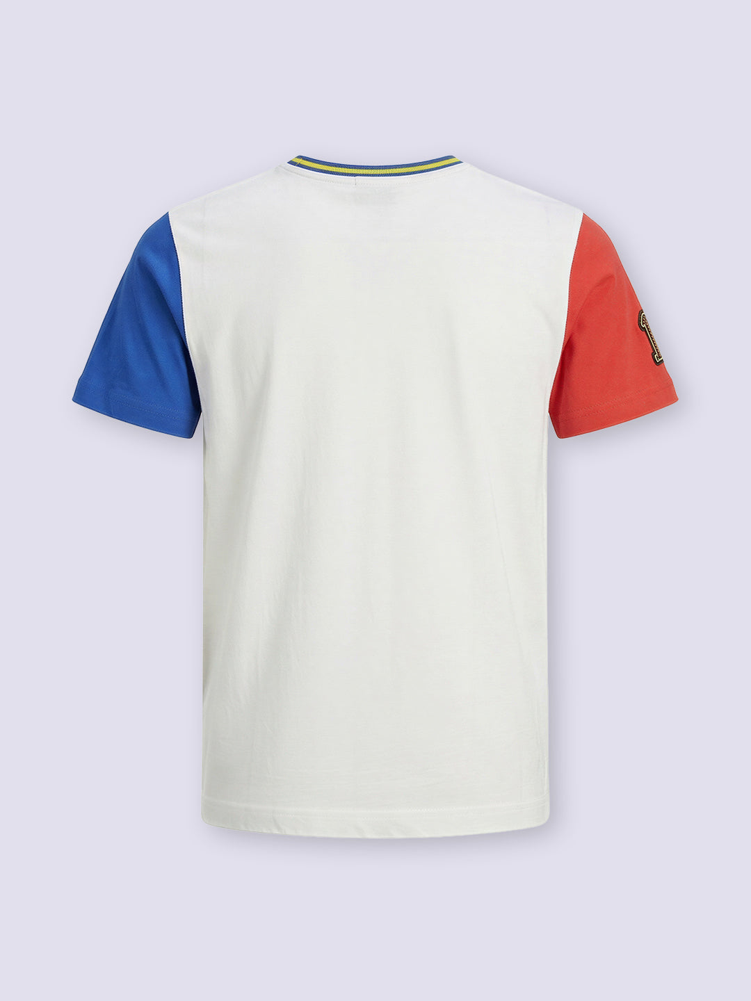Boys White Character Print Cotton Regular Fit T-Shirt