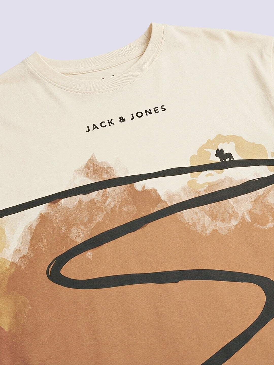 Boys Cream Scenic Print Cotton Oversized T-Shirt