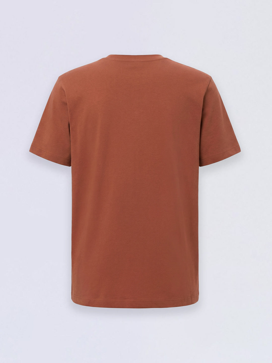 Boys Brown Embroidered Tropical Print Cotton Regular Fit T-Shirt