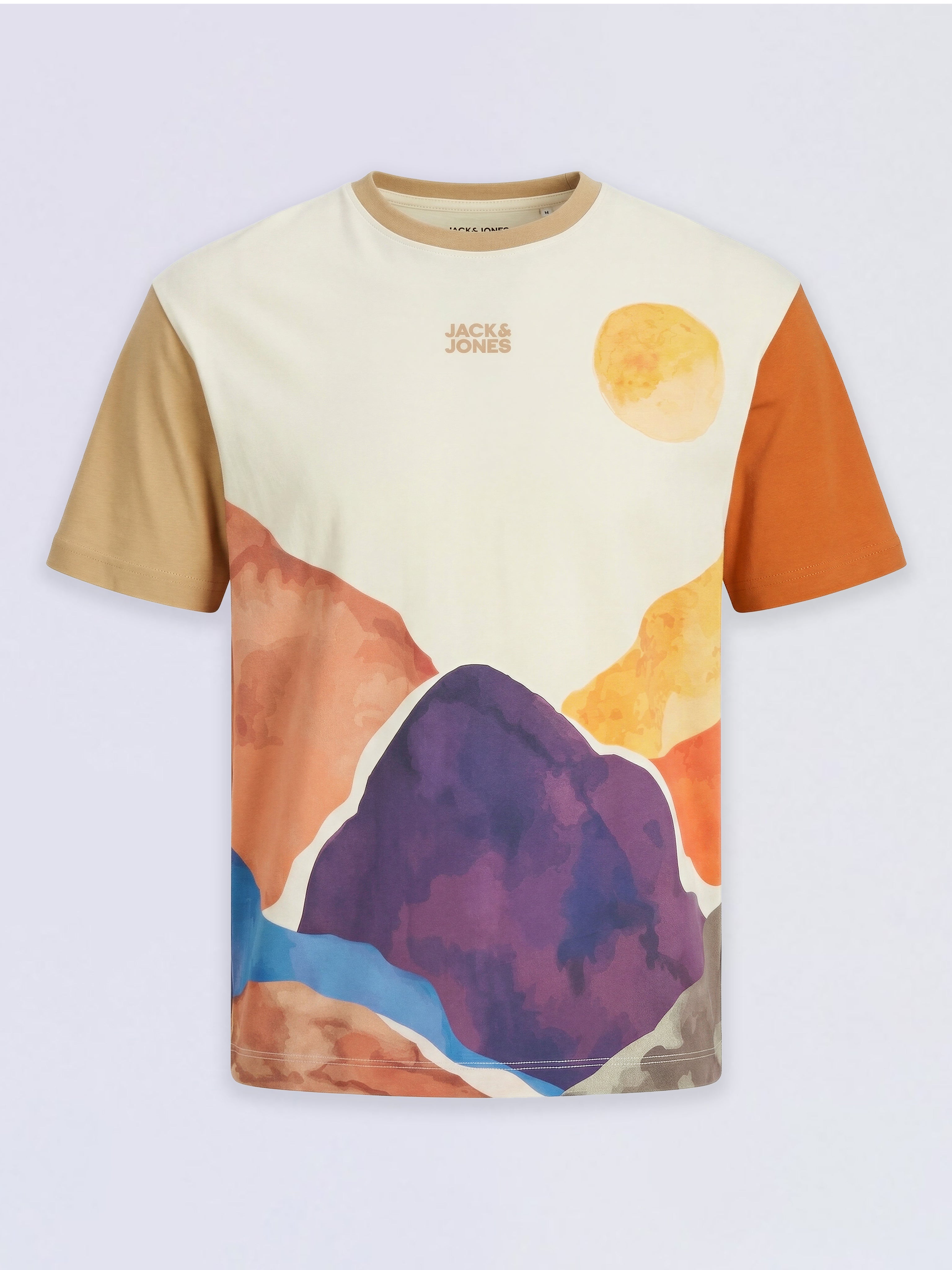Boys Brown Colourblocked Scenic Print Cotton Oversized T-Shirt