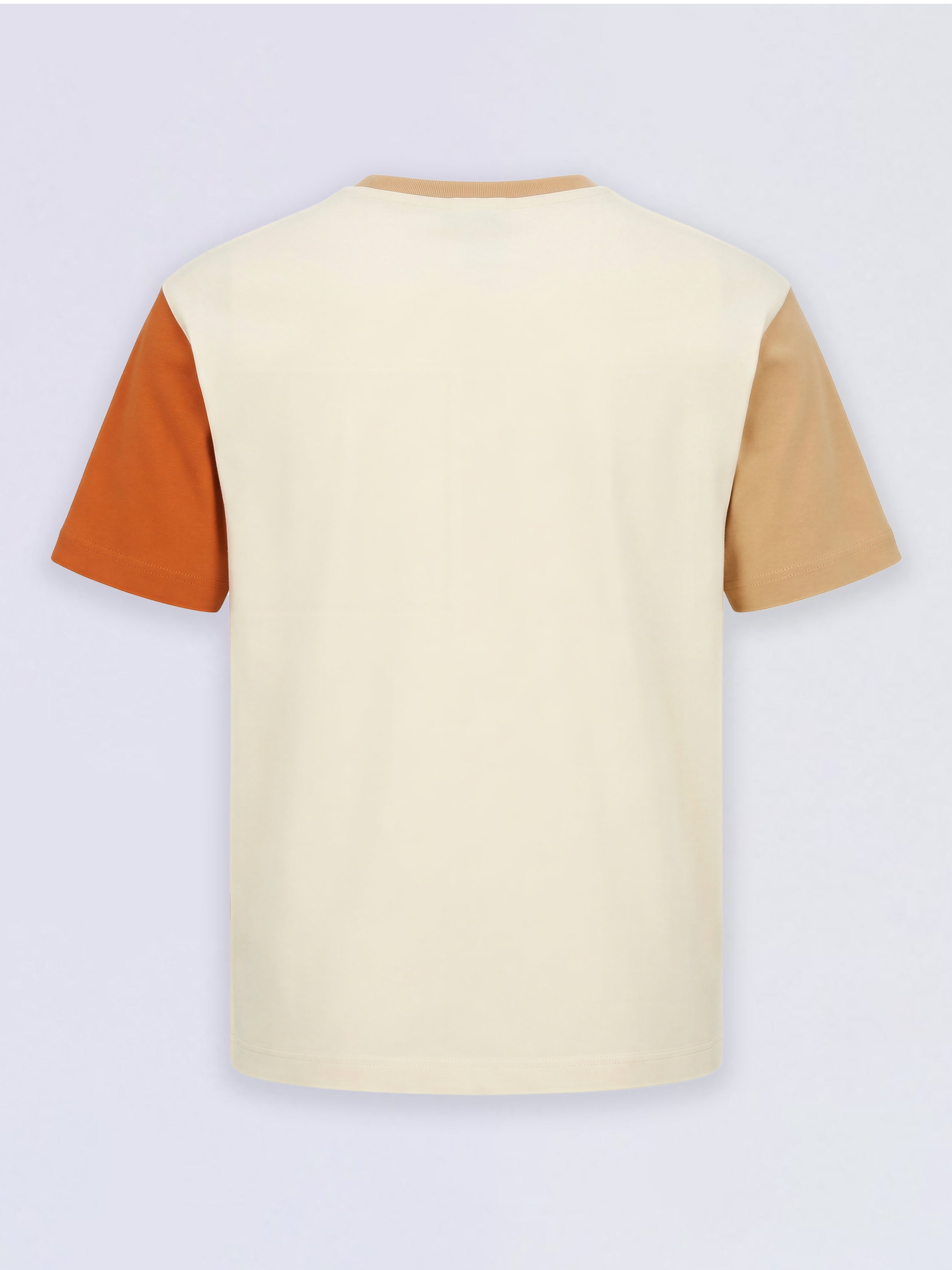 Boys Brown Colourblocked Scenic Print Cotton Oversized T-Shirt