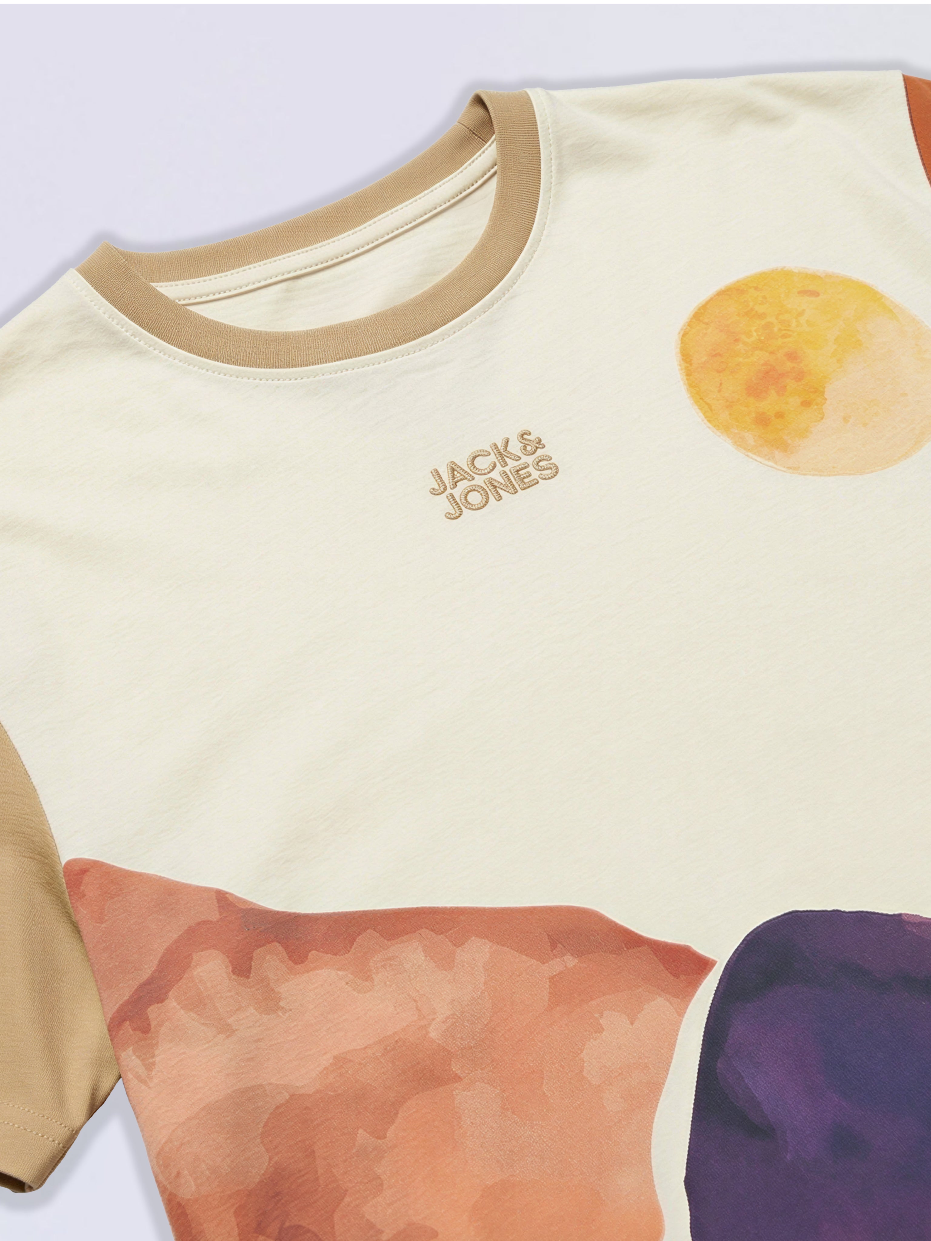 Boys Brown Colourblocked Scenic Print Cotton Oversized T-Shirt