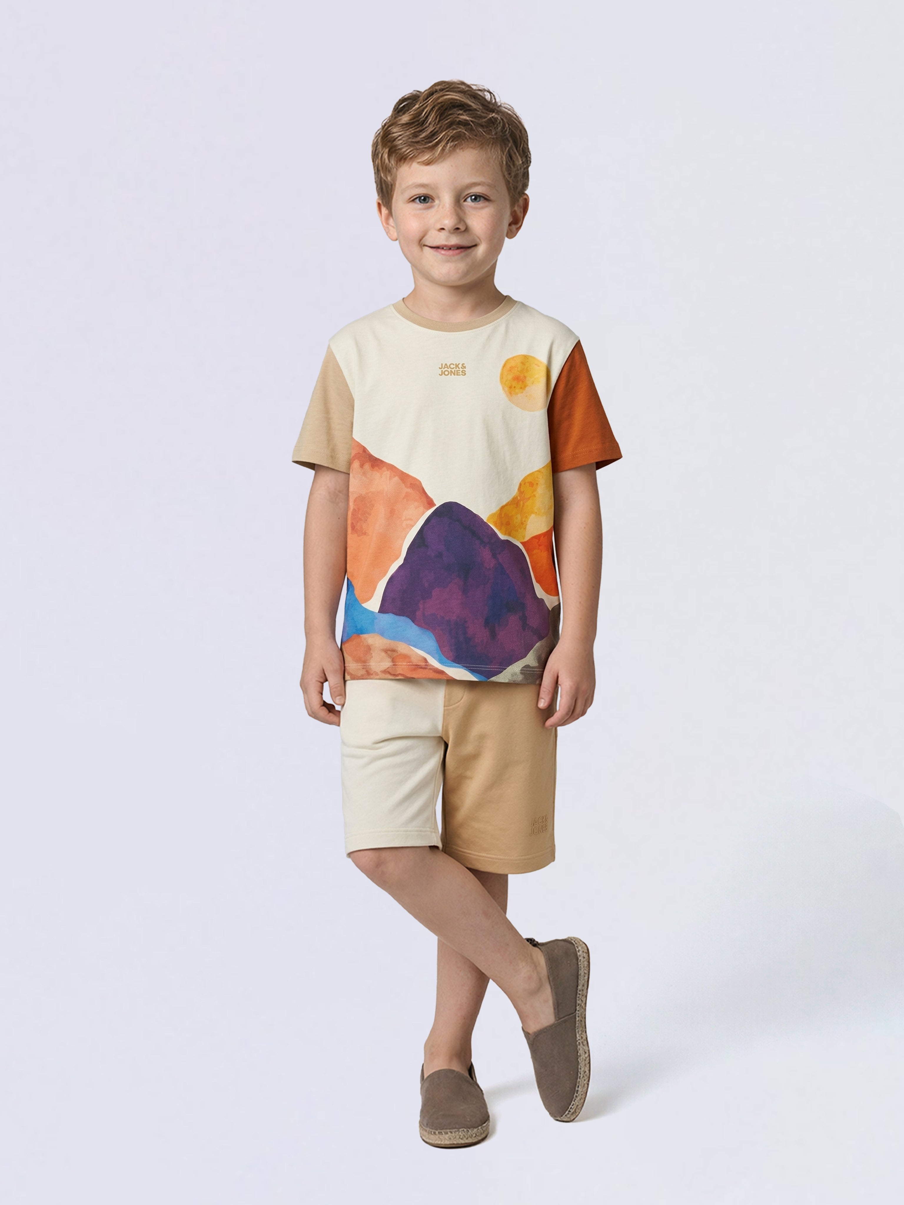 Boys Brown Colourblocked Cotton Casual Shorts