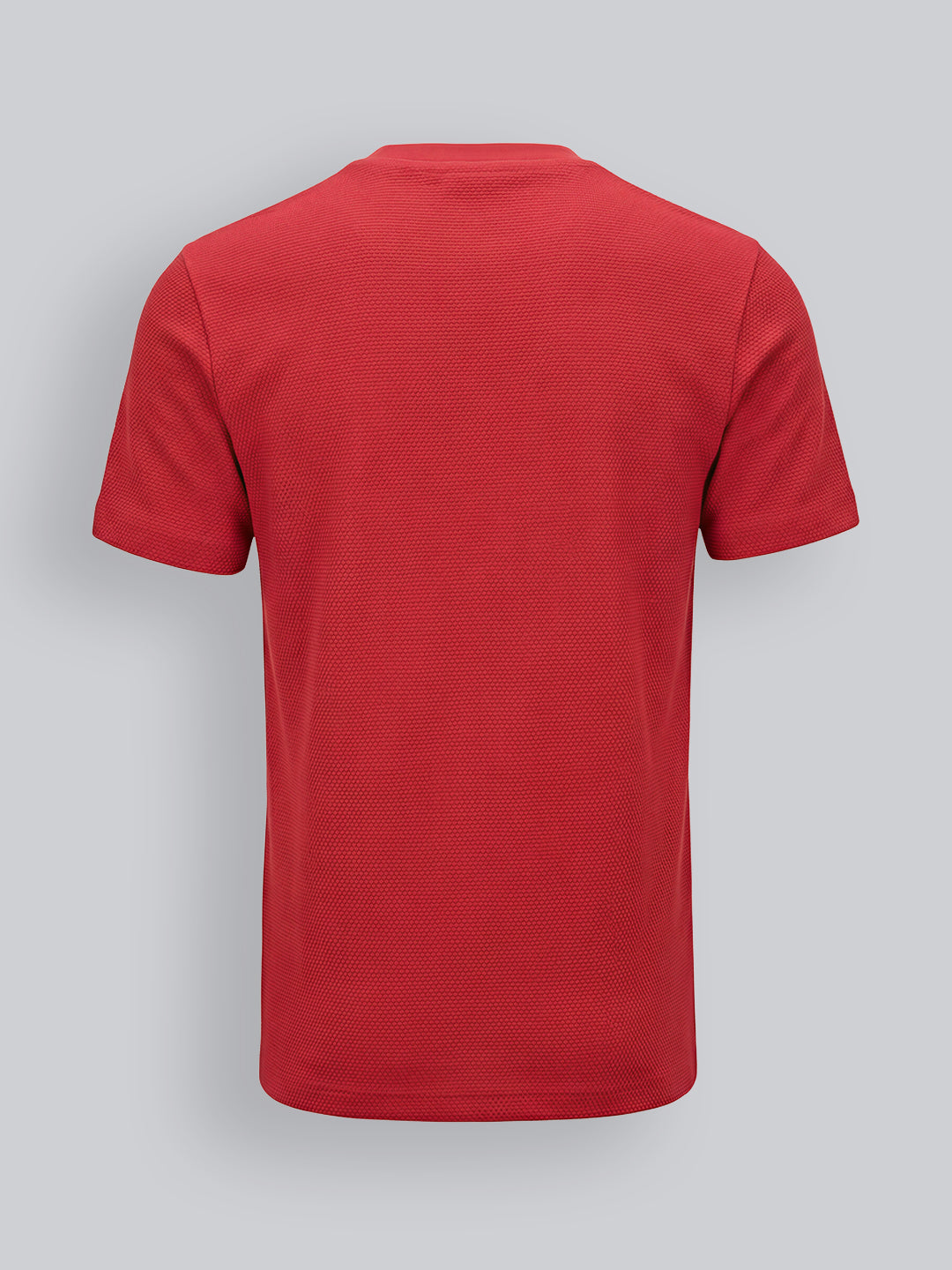 Boys Red Textured Cotton Embroidered Crew Neck T-Shirt