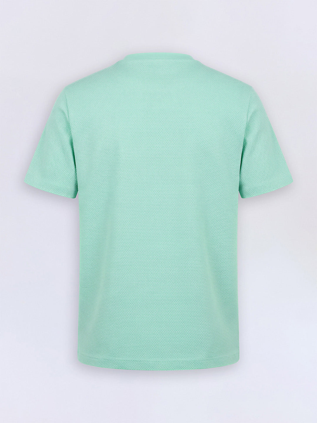 Boys Beveled Glass Mint Green Dog Graphic Cotton T-Shirt