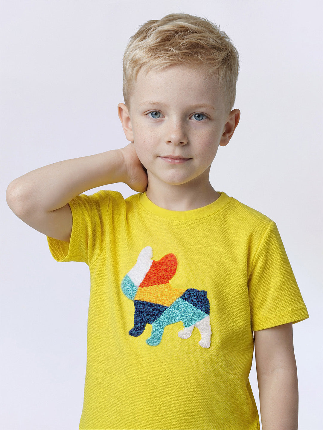Boys Vibrant Yellow Dog Graphic Cotton T-Shirt