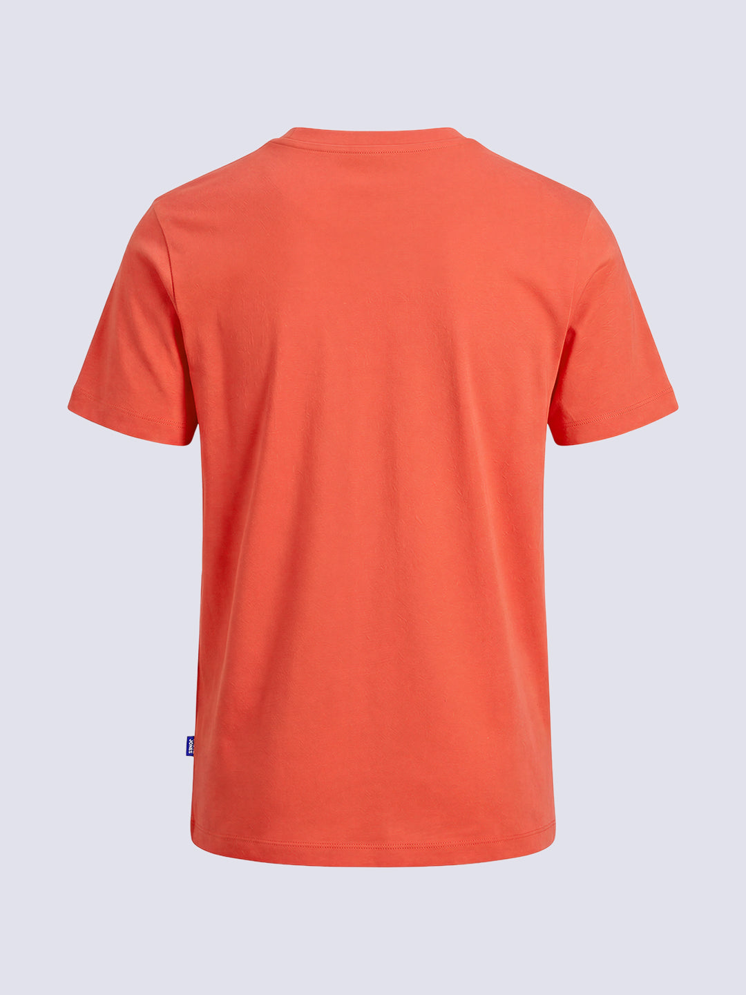 Boys Red Graphic Print Cotton Crew Neck T-Shirt