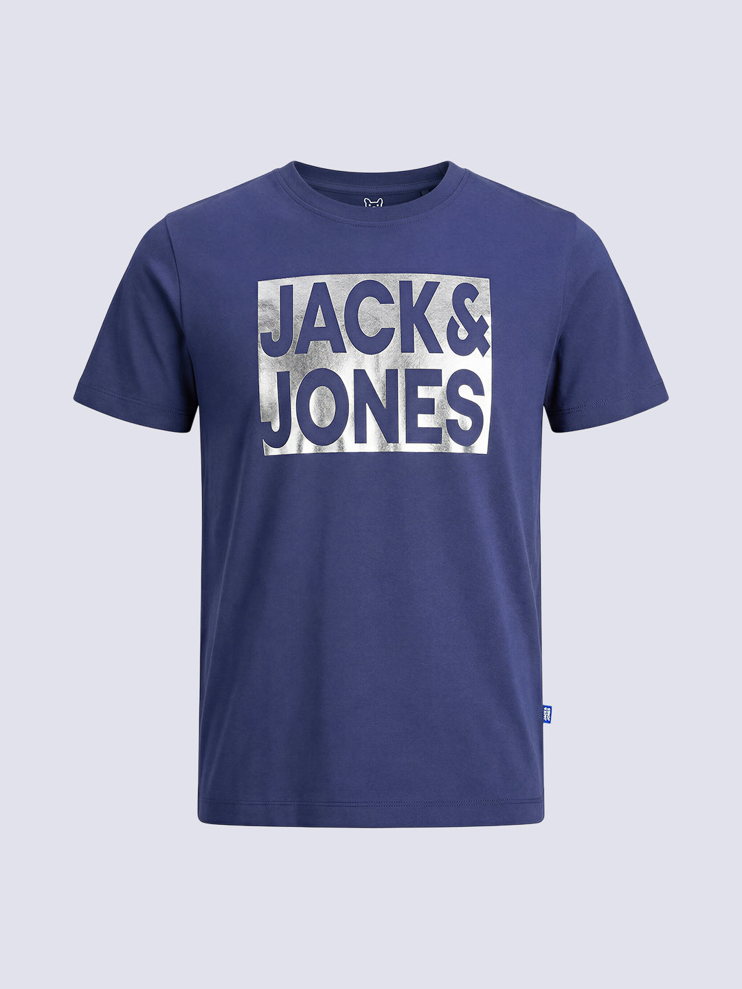 Boys Blue Logo Print Cotton Crew Neck T-Shirt