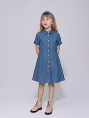Girls Grandeur Blue Self-Design Fit & Flare Dress