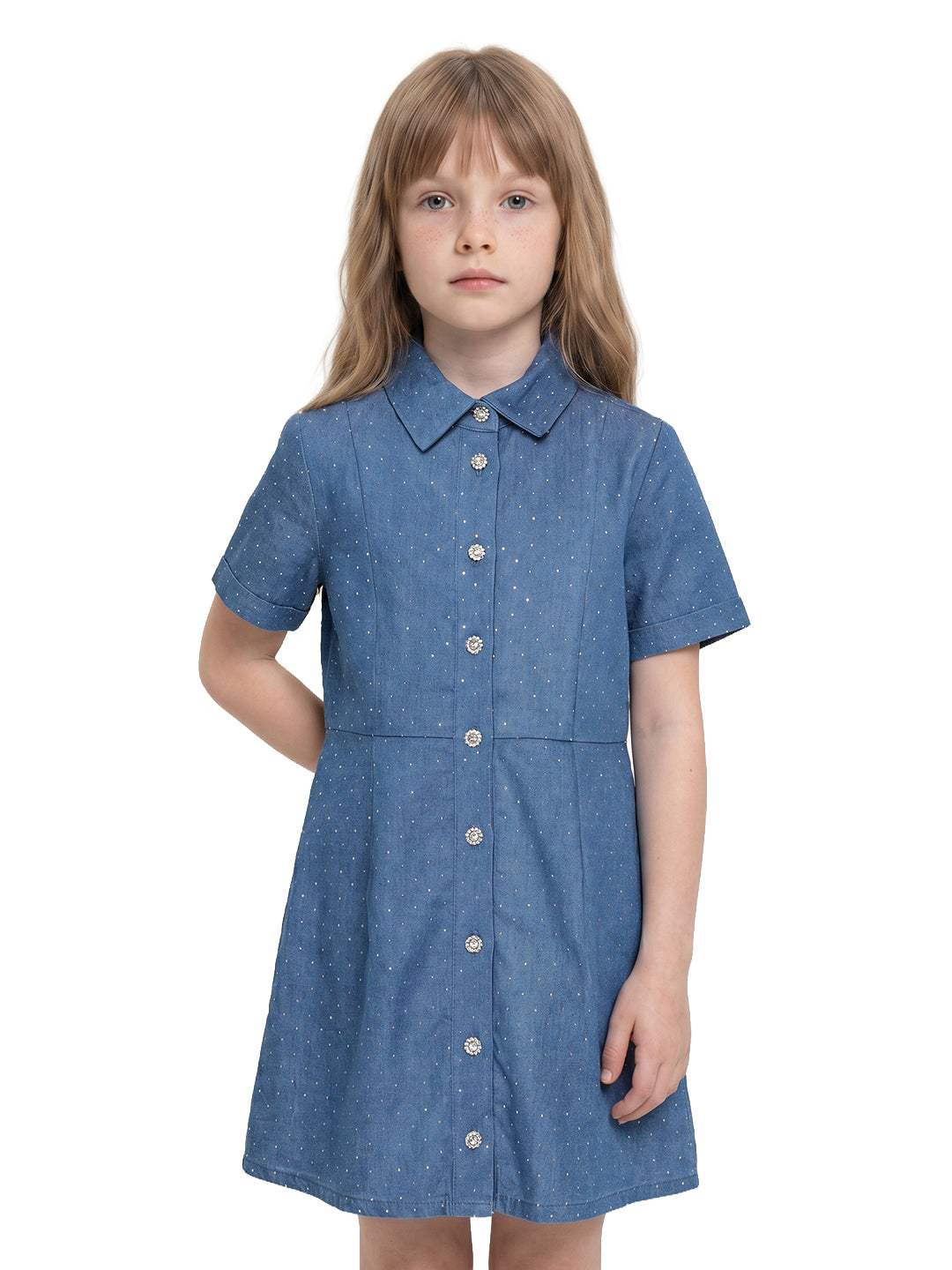 Girls Grandeur Blue Self-Design Fit & Flare Dress