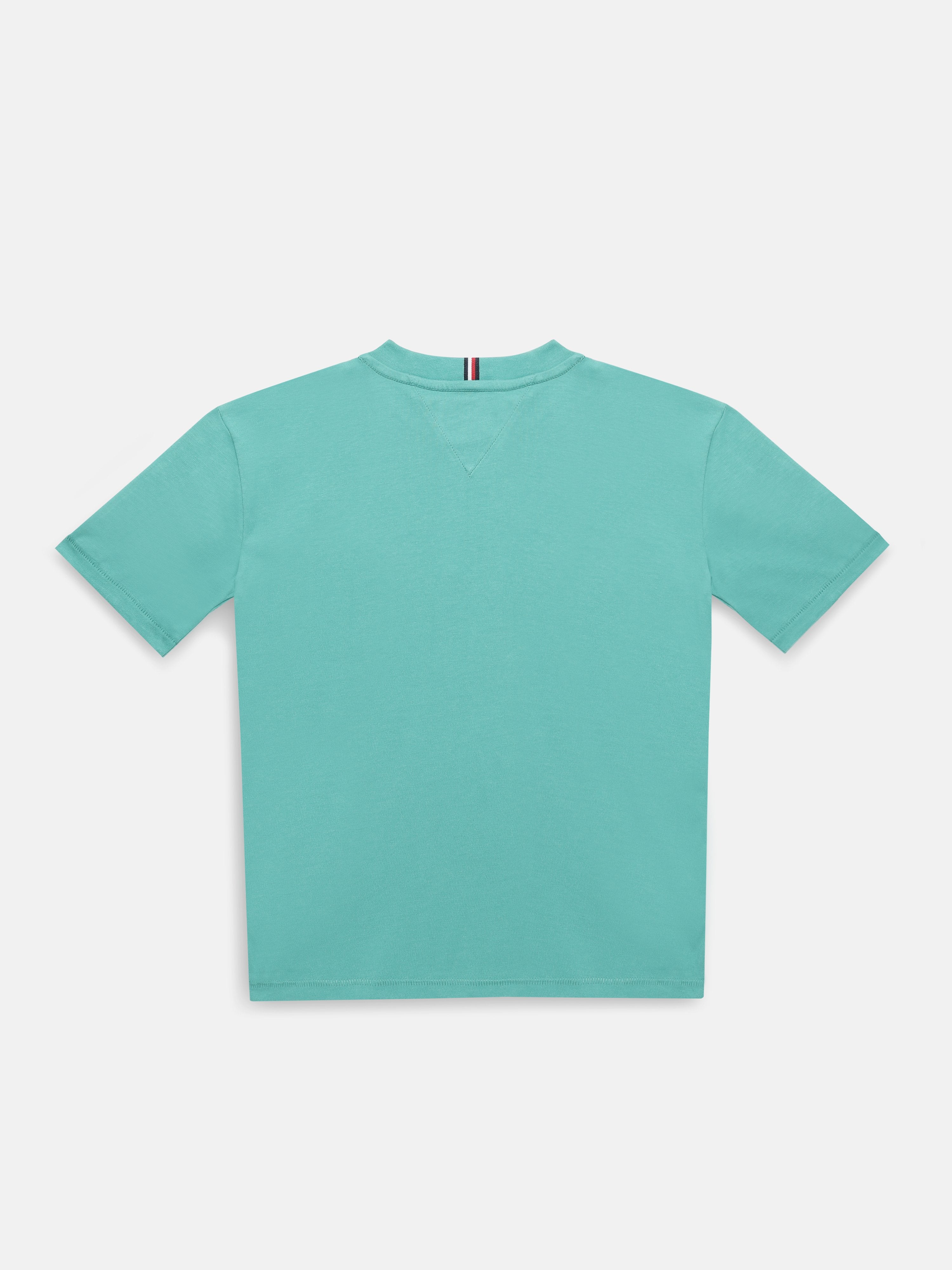 Boys Green Printed Crew Neck Comfort Fit T-Shirt