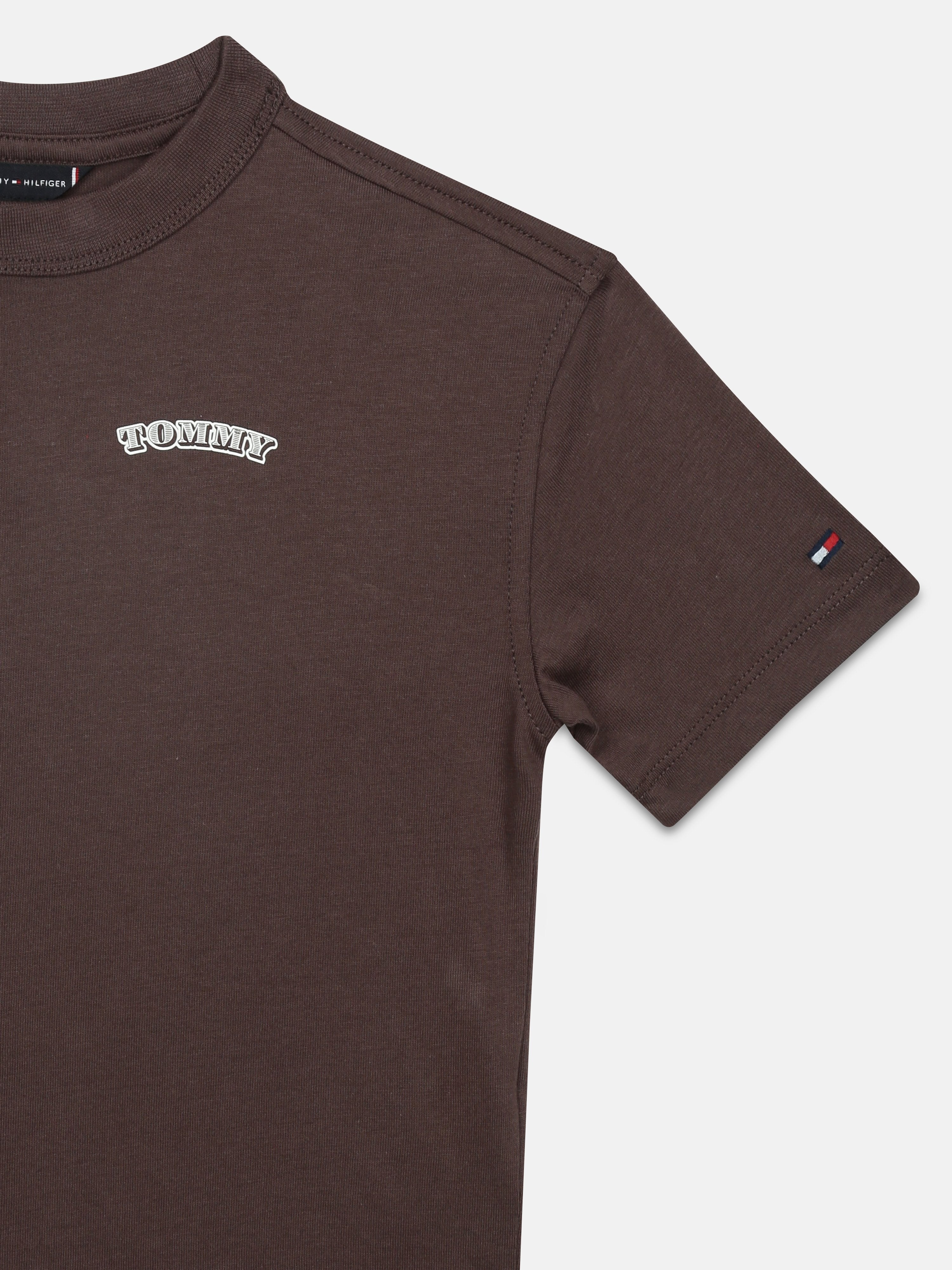 Boys Brown Graphic Cotton T-Shirt