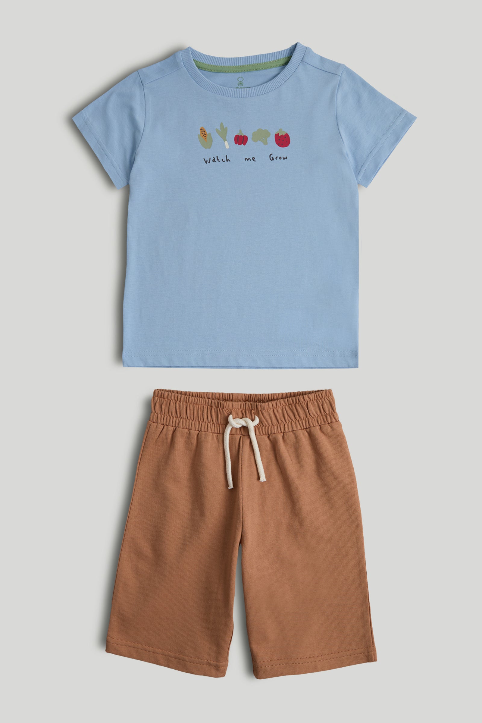 Boys Multi Printed Cotton T-Shirt & Shorts Set