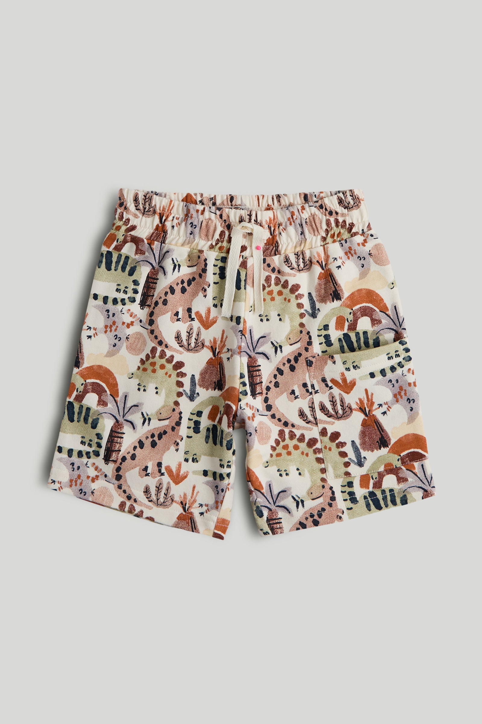 Boys Multi Color Printed Cotton Regular Fit 3-Pack Shorts