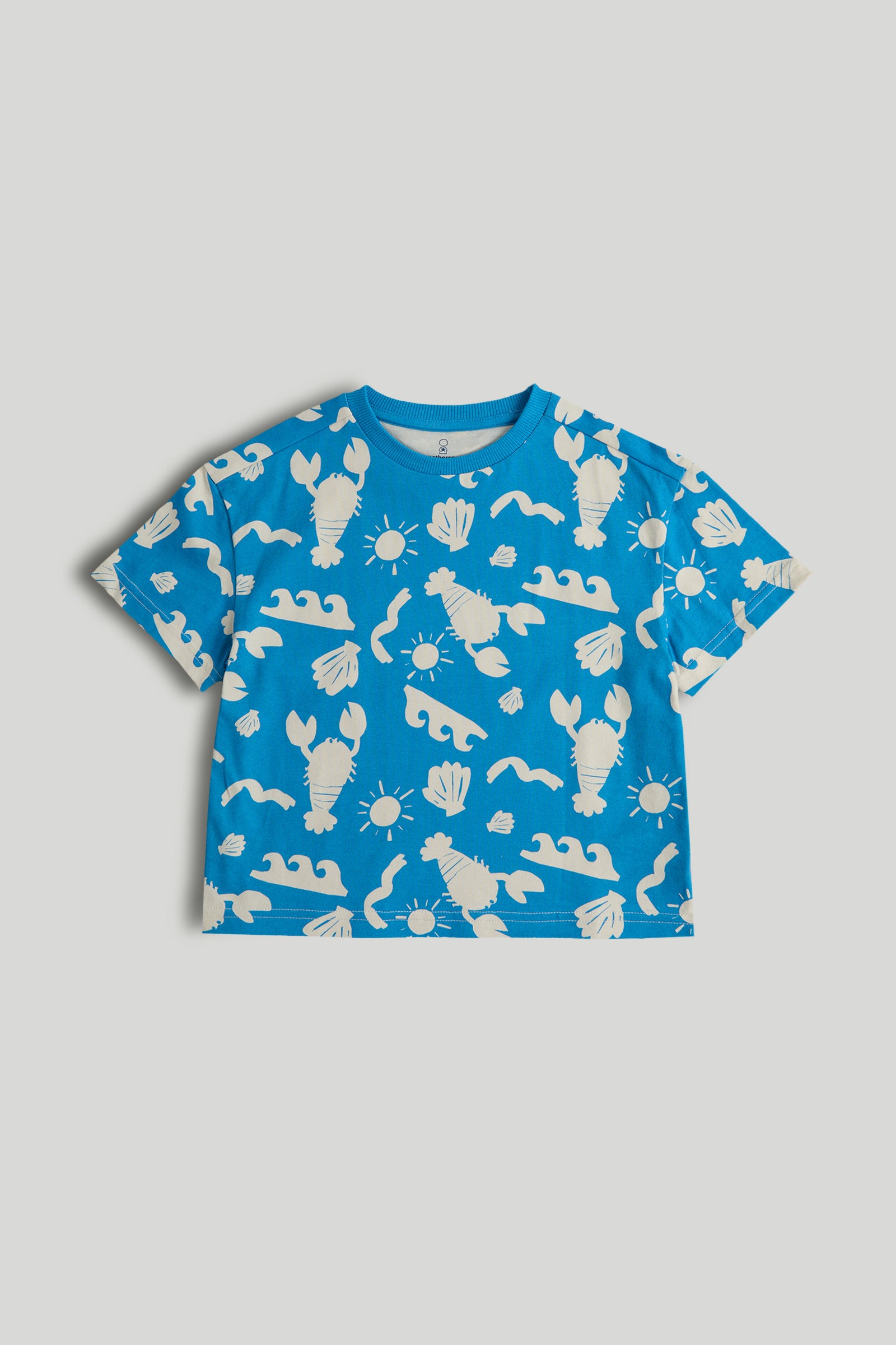 Boys Multi Color Printed Cotton Regular Fit 3-Pack T-Shirts