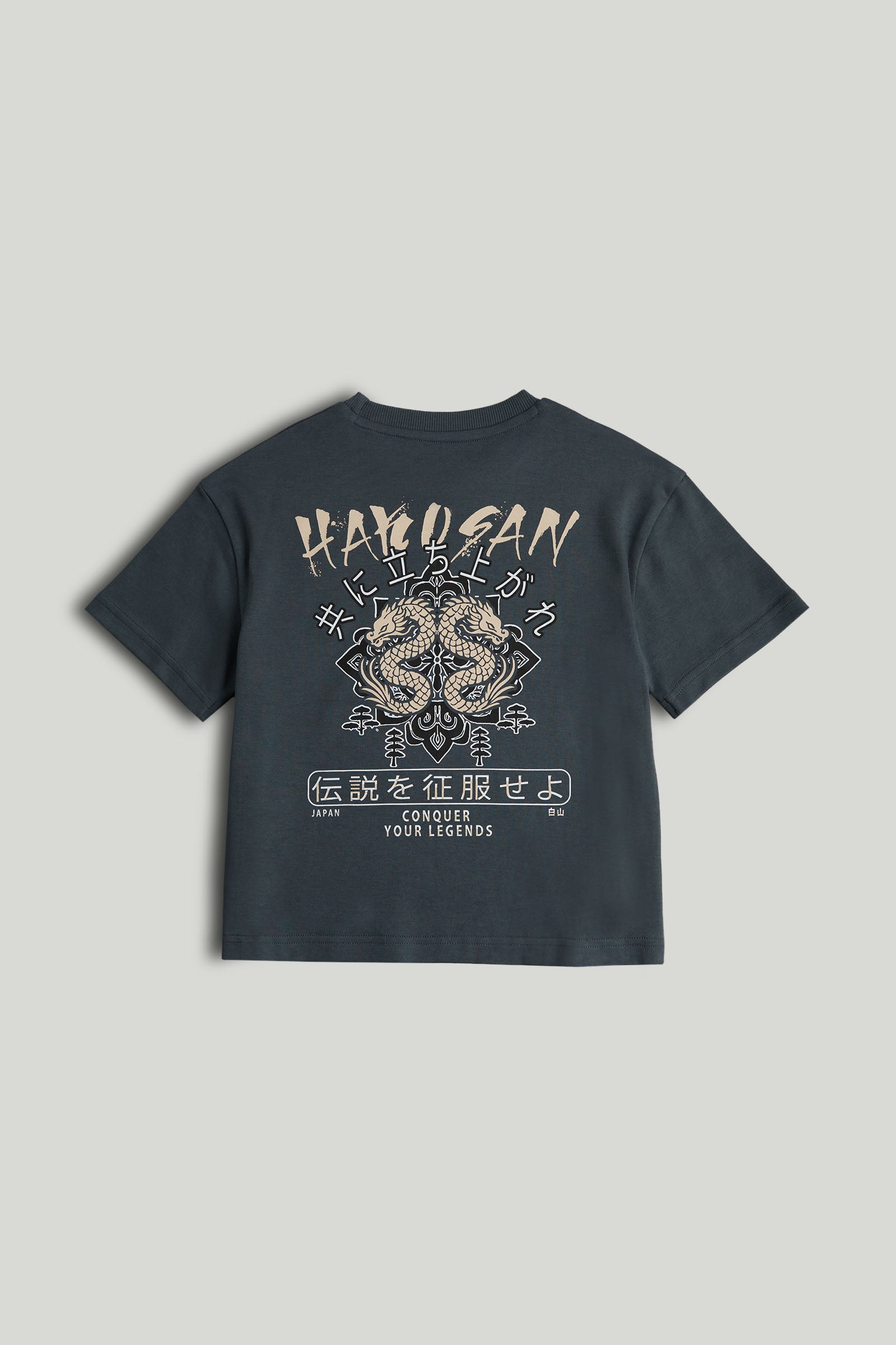 Boys Dark Grey Cotton Japanese Back Print T-Shirt