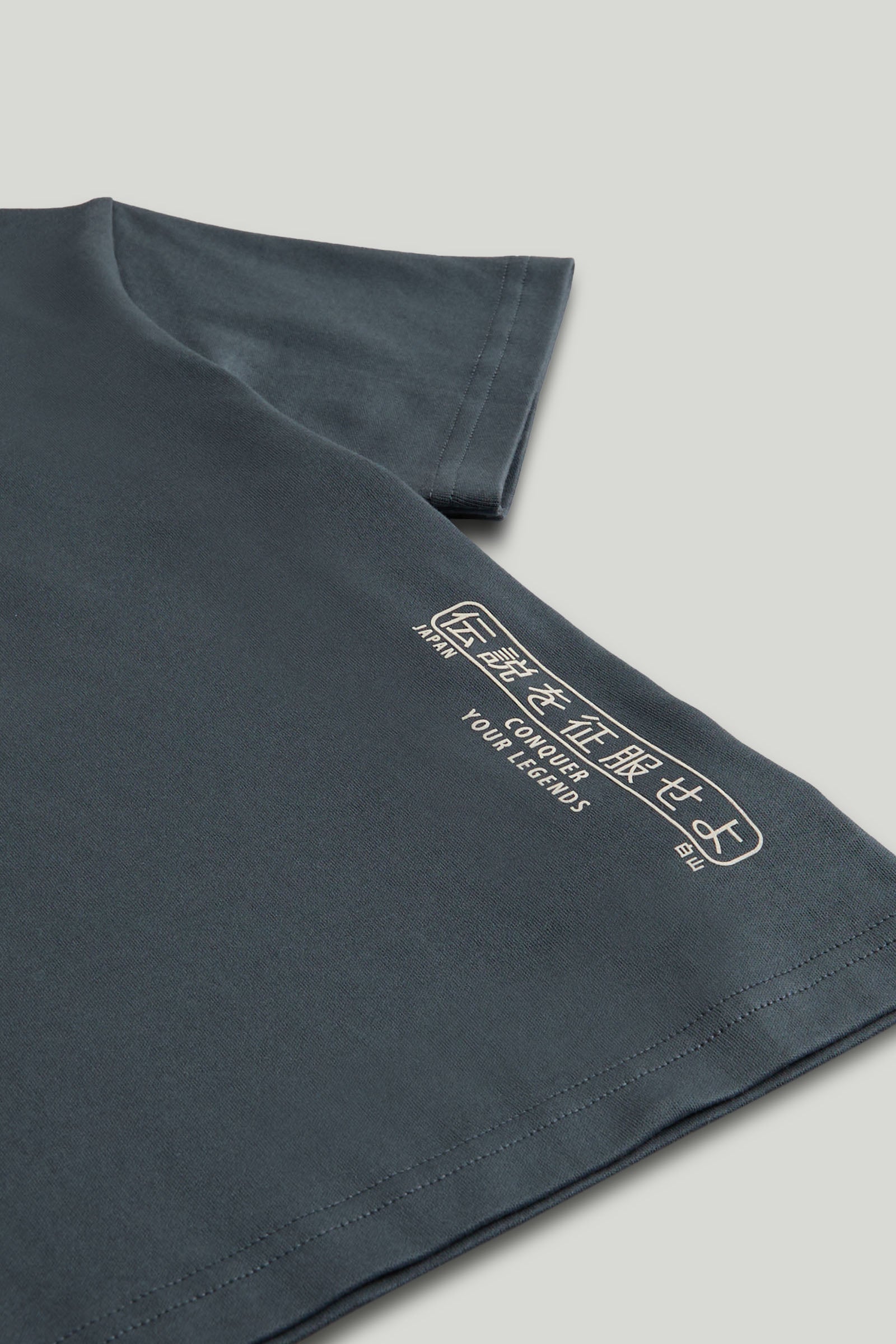 Boys Dark Grey Cotton Japanese Back Print T-Shirt