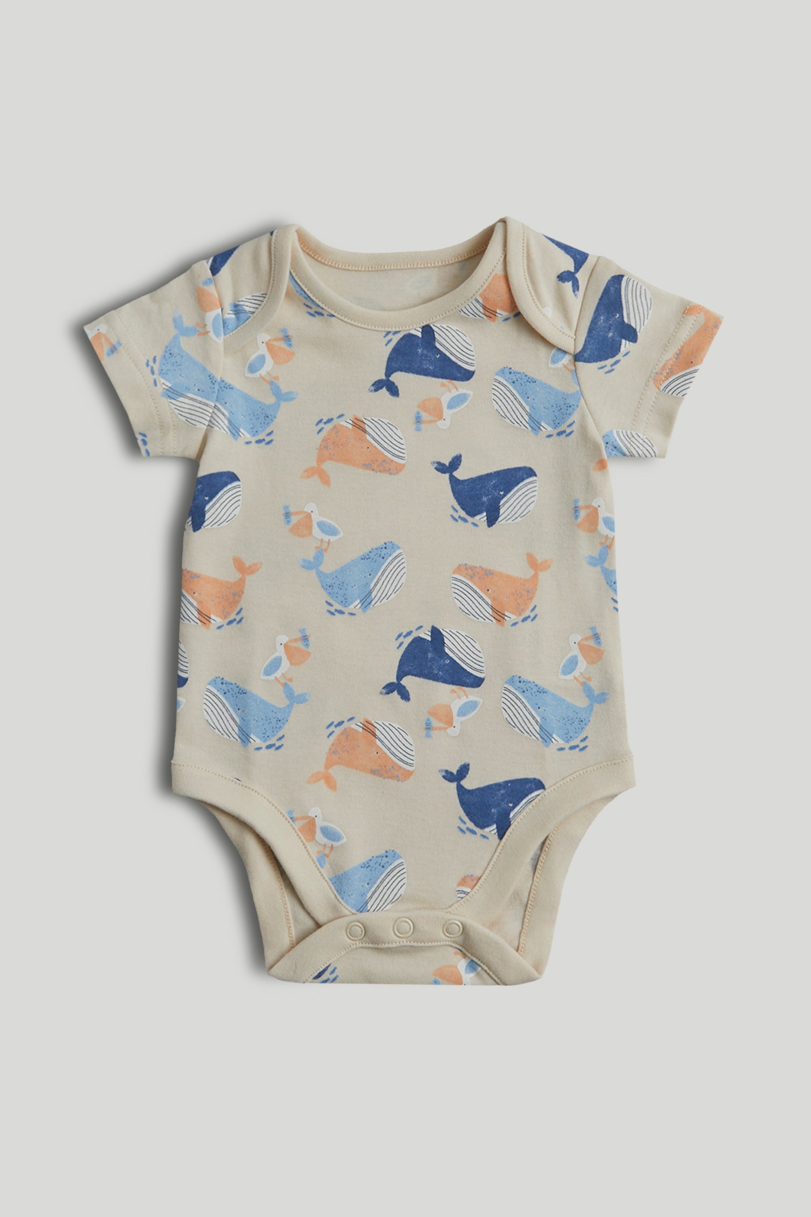 Boys Multi Whale Print Cotton Regular Fit 5-Pack Short Sleeve Bodysuits