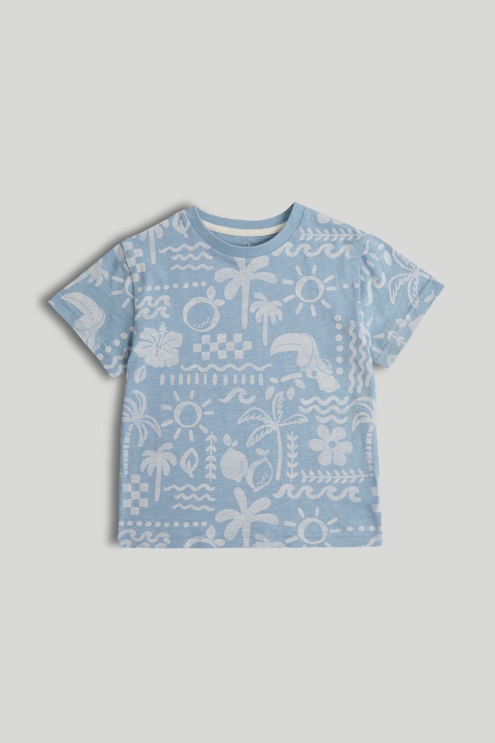 Baby Boys Multi Cotton Printed T-Shirts Pack of 3