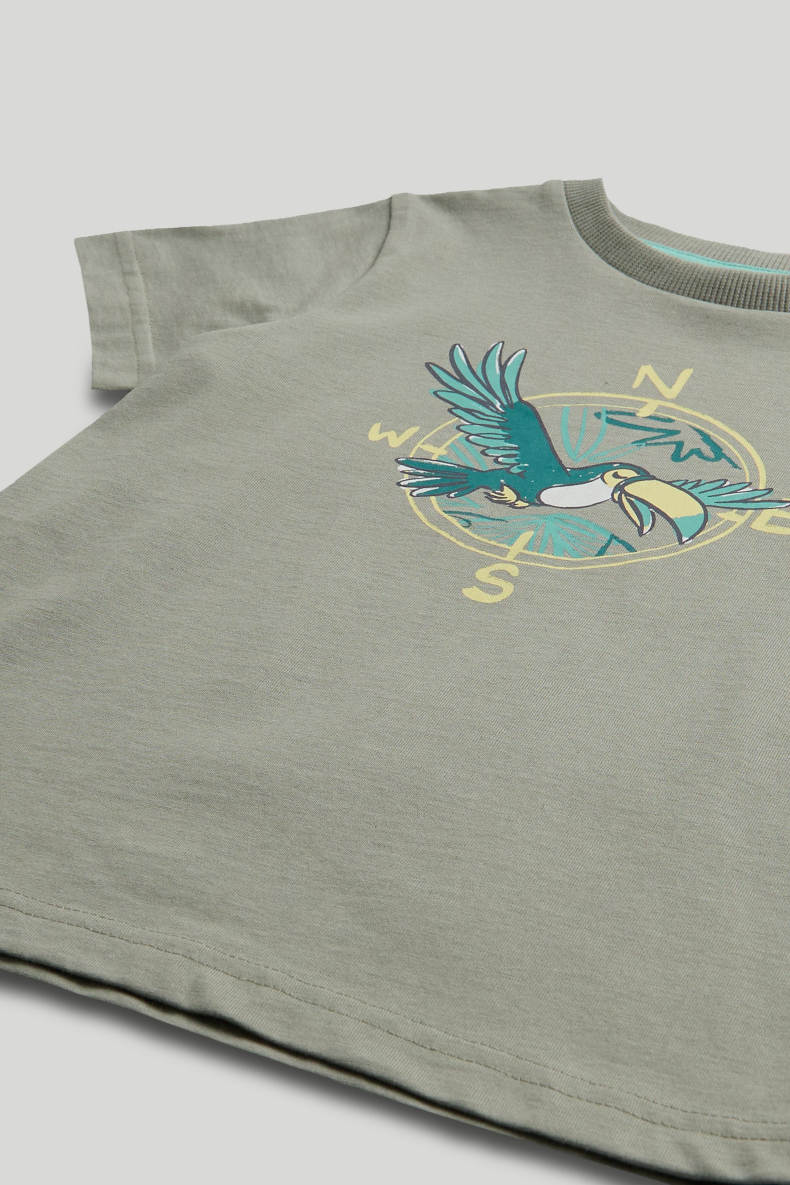 Boys Compass Print Cotton T-Shirt in Green