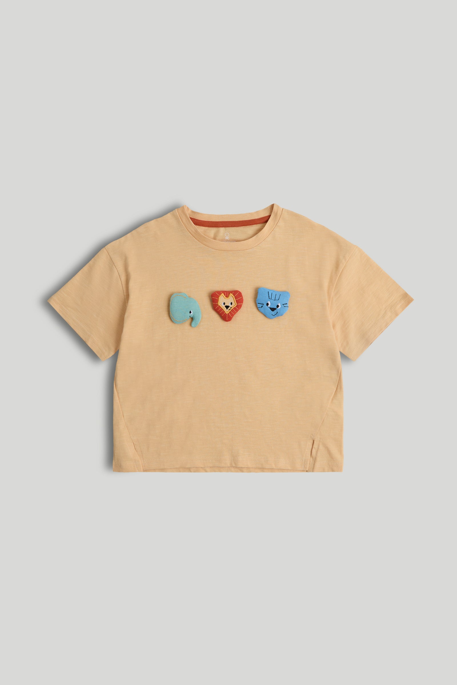 Baby Boys Yellow Cotton Applique T-Shirt – Regular Fit