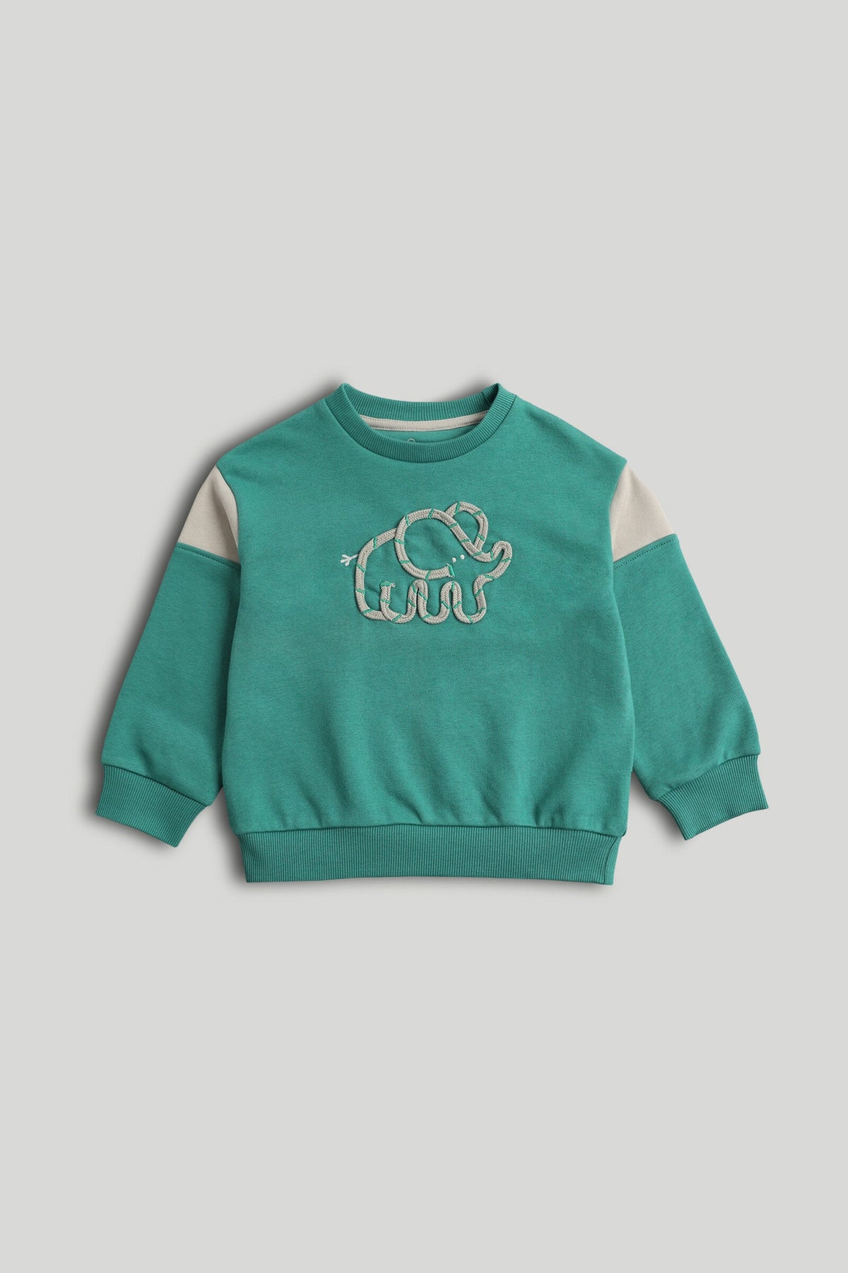 Boys Appliqué & Embroidered Sweat Top Green