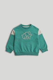 Boys Appliqué & Embroidered Sweat Top Green