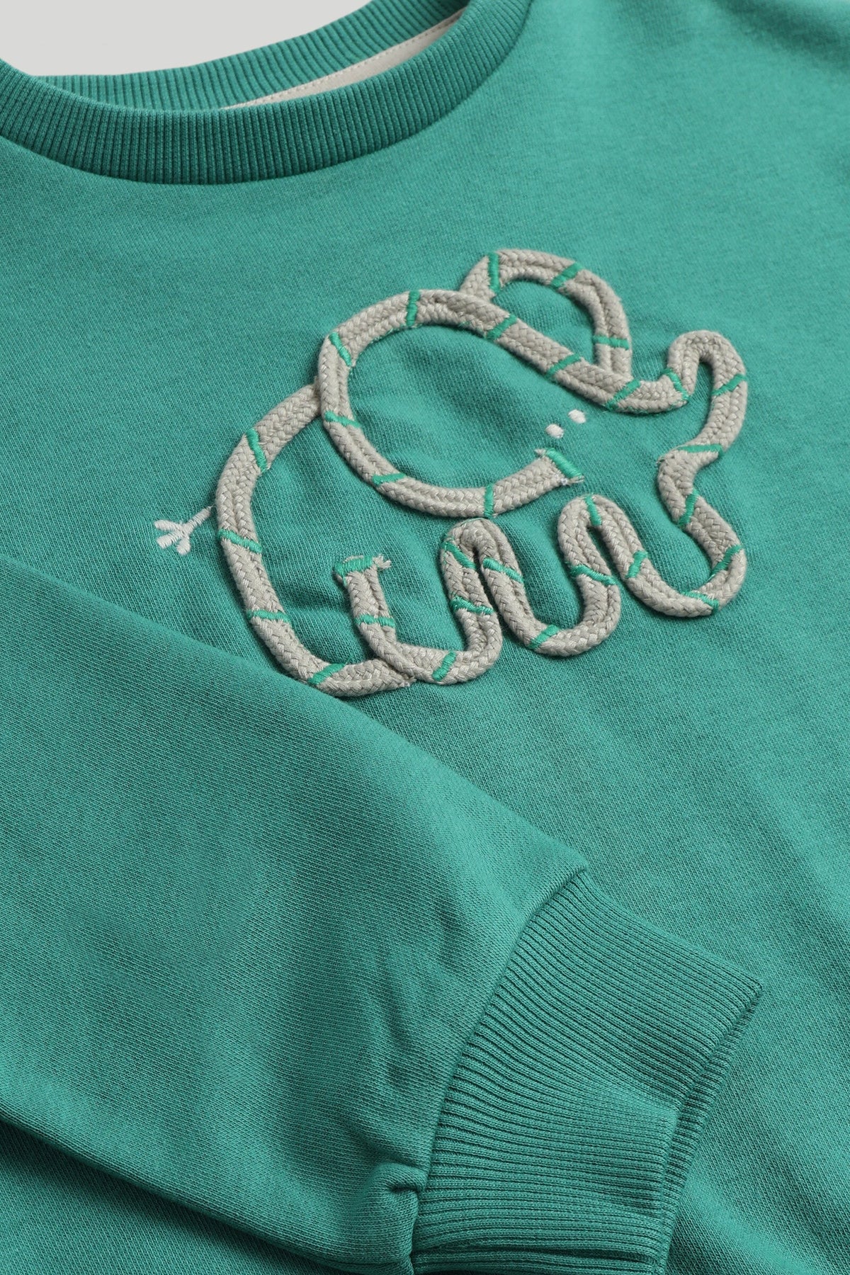 Boys Appliqué & Embroidered Sweat Top Green