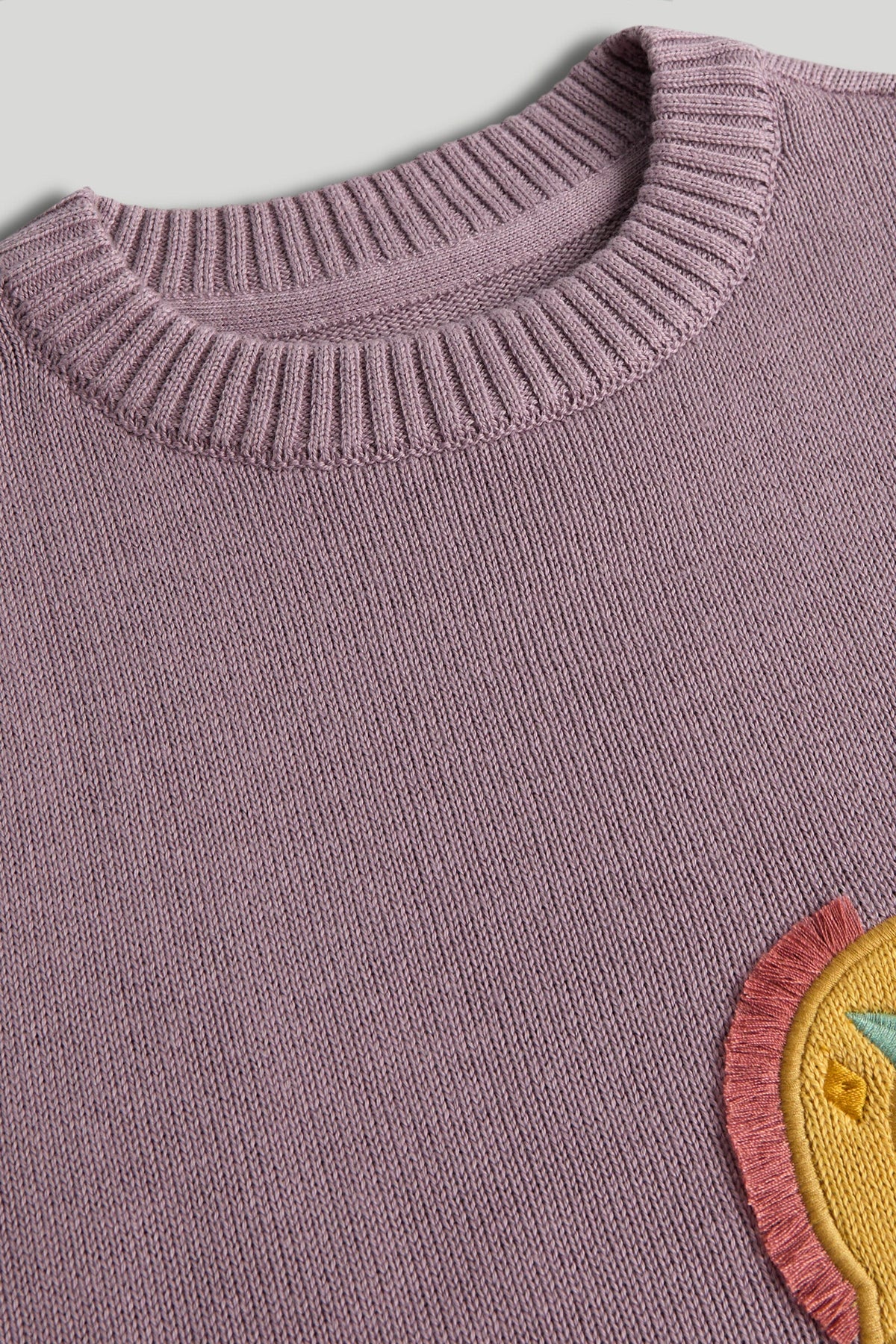 Girls Embroidered Jumper Purple