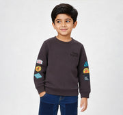 Boys Brown Textured Graphic Print Regular Fit Sweatshirt