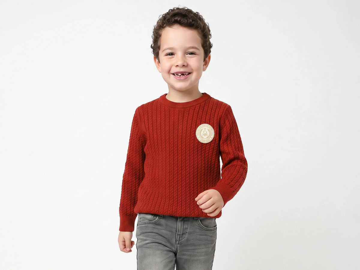 Boys Rust Tricot Knit Sweater