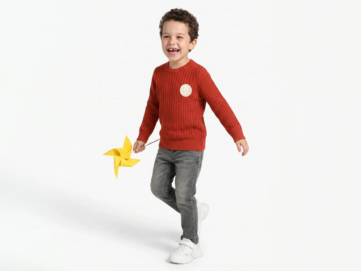 Boys Rust Tricot Knit Sweater