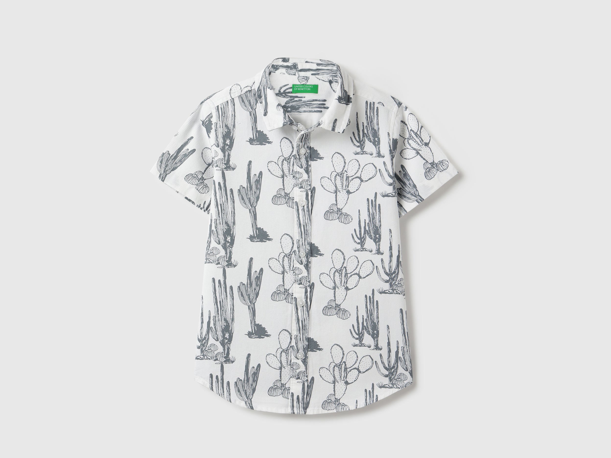 Boys White Cotton Cactus Print Regular Fit Casual Shirt