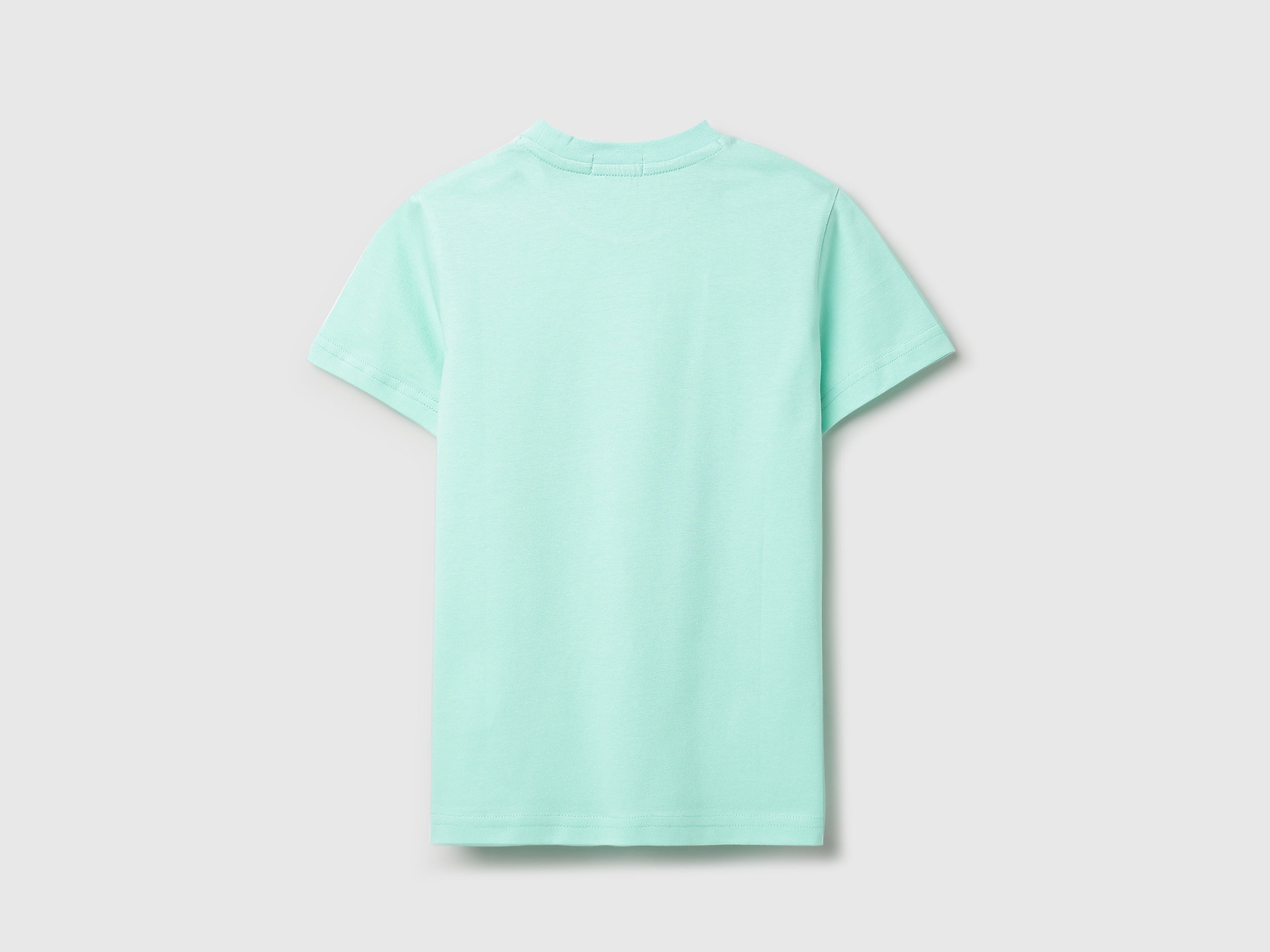 Boys Light Mint Cotton Regular Fit Short Sleeve Round Neck T-Shirt