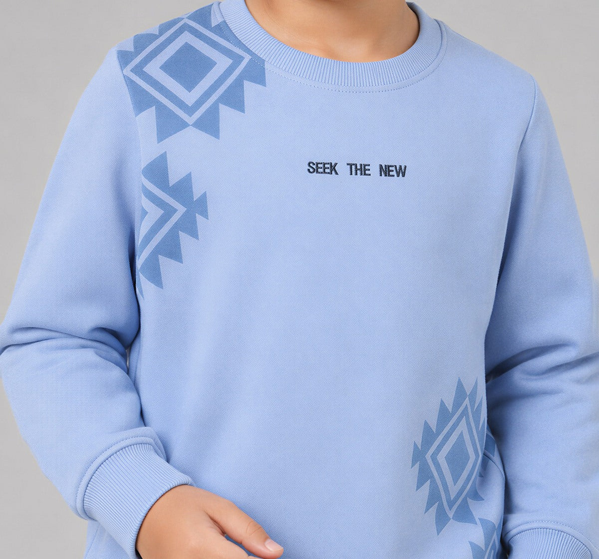 Boys Light Blue Graphic Print Regular Fit Sweatshirt